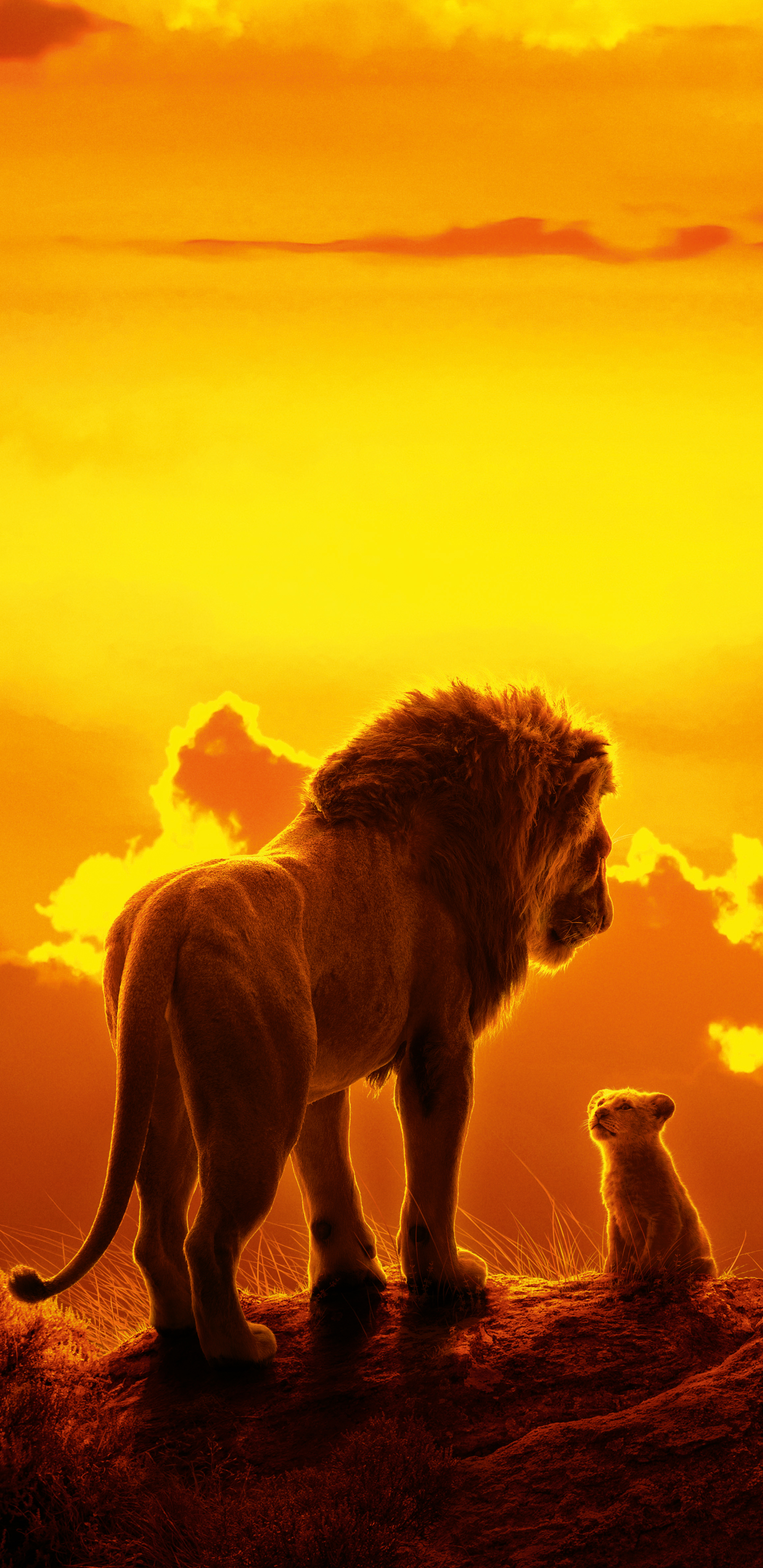 Download mobile wallpaper Lion, Movie, Baby Animal, Mufasa (The Lion King), Simba, The Lion King (2019) for free.
