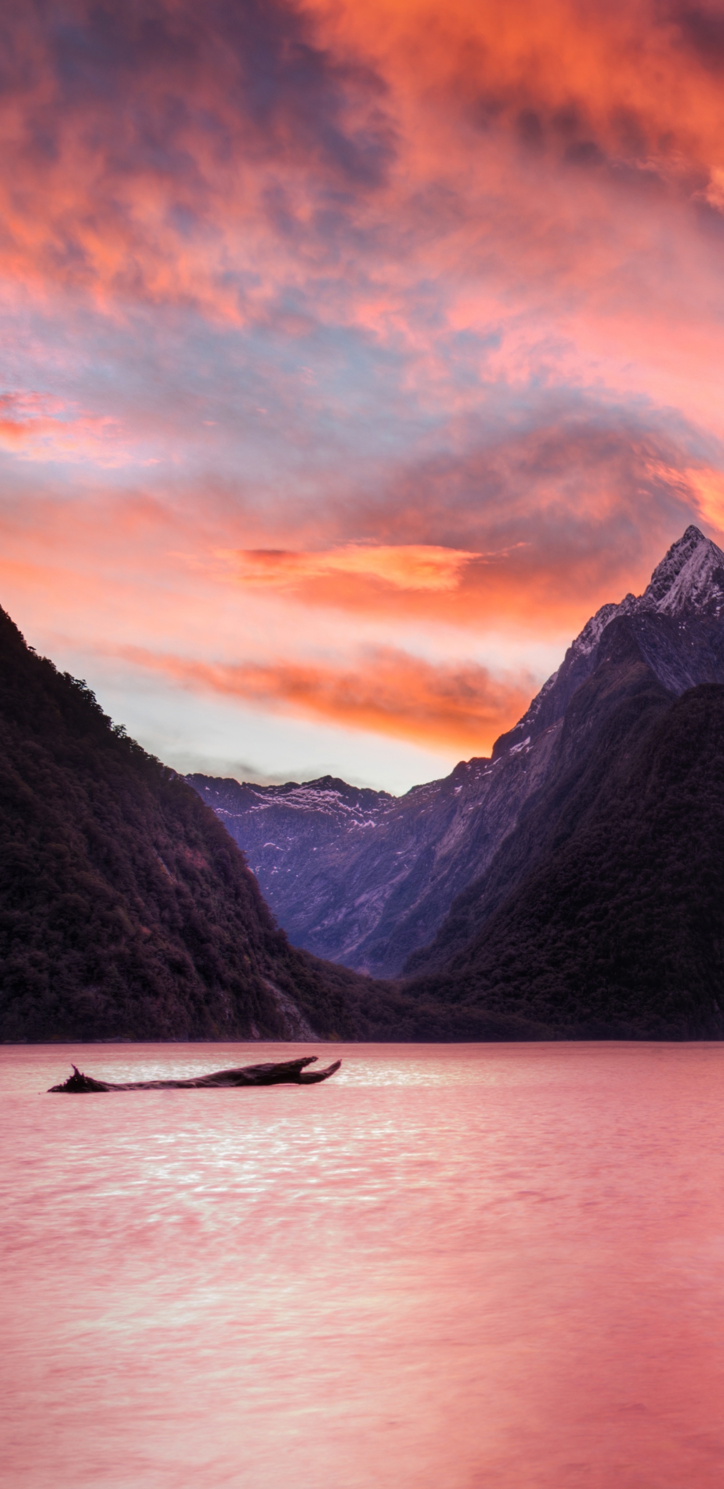 earth, milford sound, nature, driftwood, fjord, sunset, mitre peak, new zealand, mountain, cloud, sky
