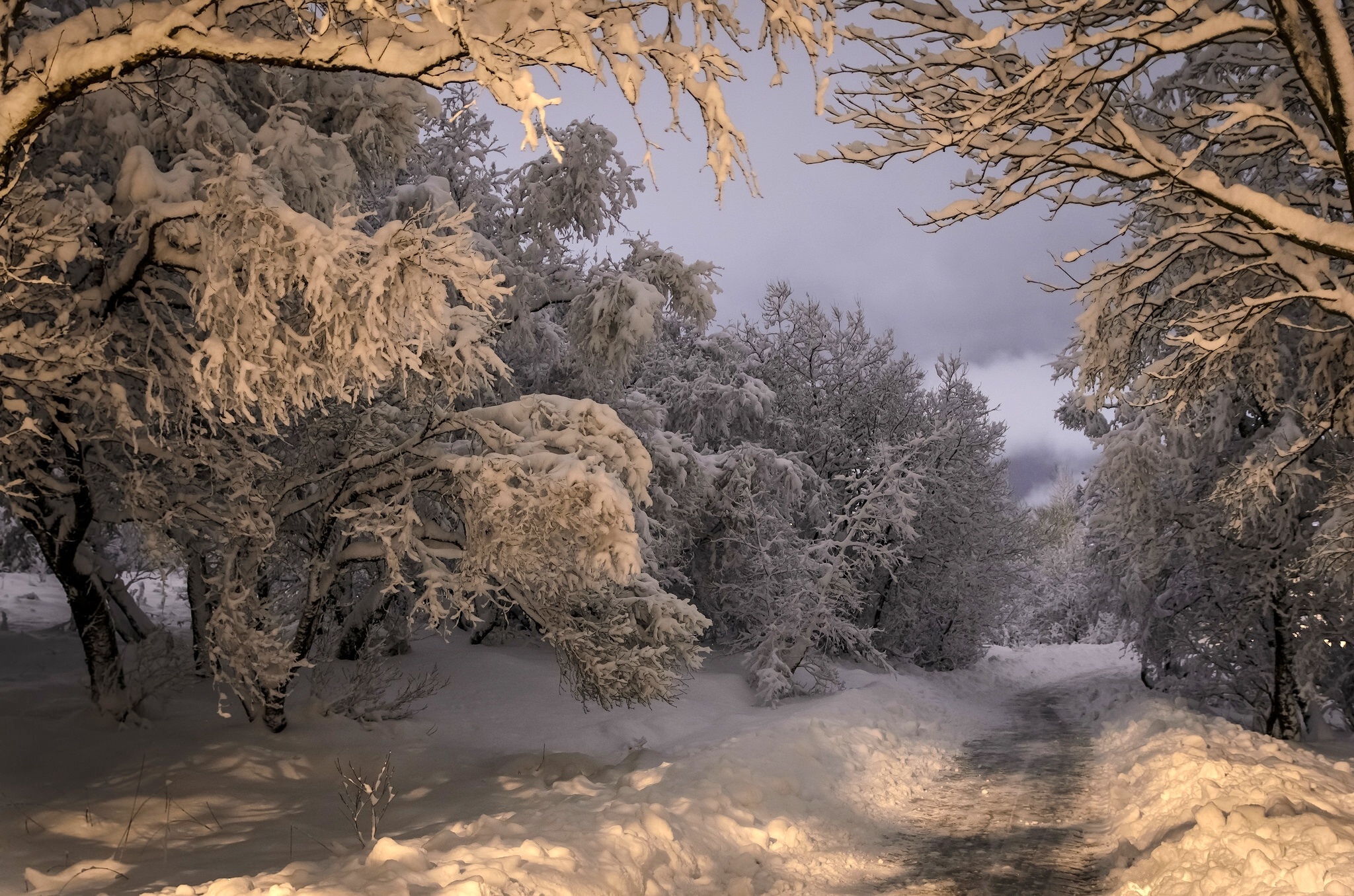 Download mobile wallpaper Winter, Snow, Forest, Tree, Path, Man Made for free.