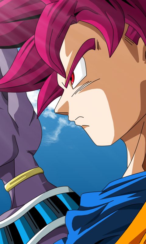 Download mobile wallpaper Anime, Dragon Ball, Goku, Beerus (Dragon Ball), Dragon Ball Super for free.