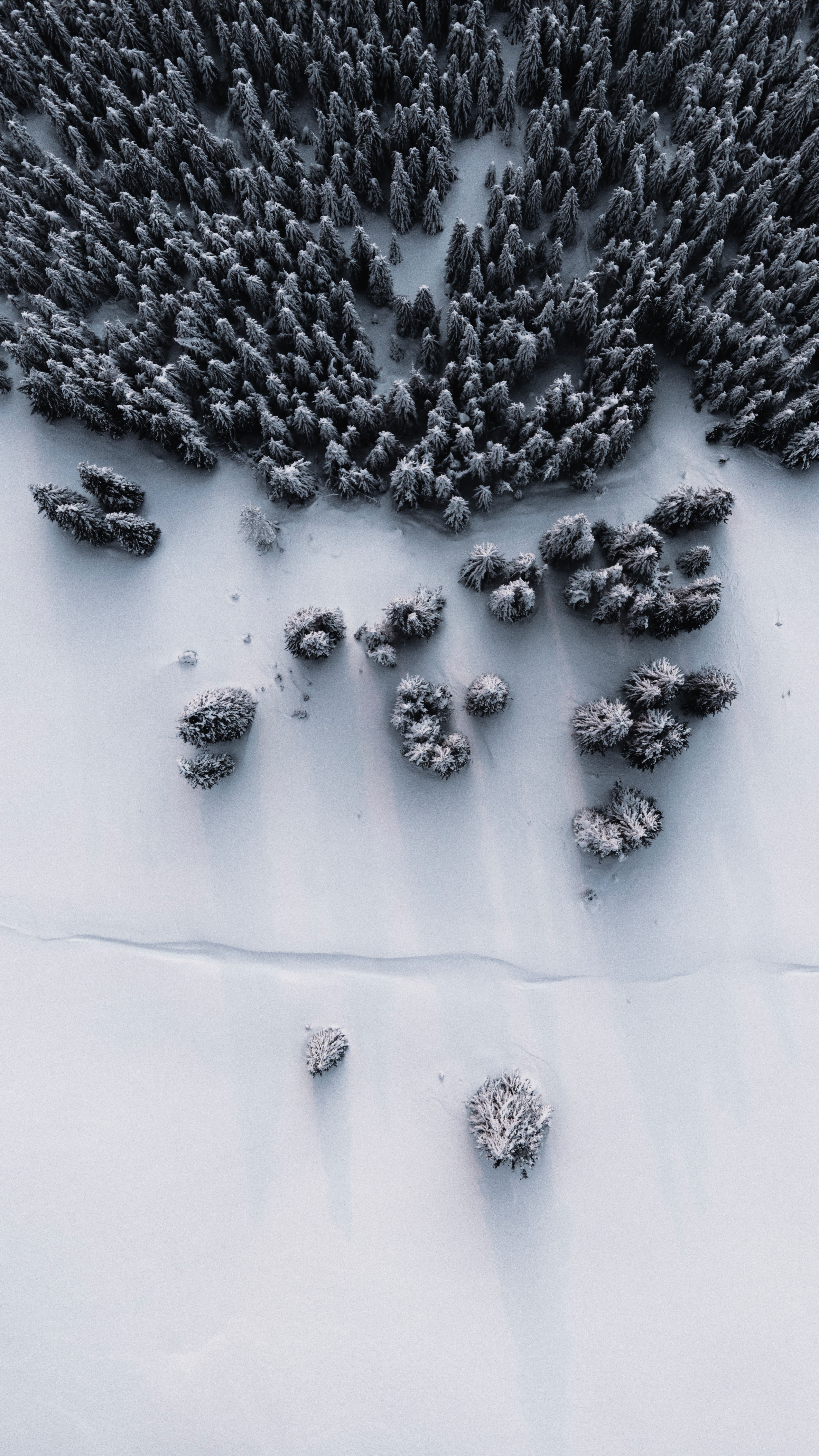 Laden Sie das Blick Von Oben, Schnee, Winter, Natur, Wald-Bild kostenlos auf Ihren PC-Desktop herunter