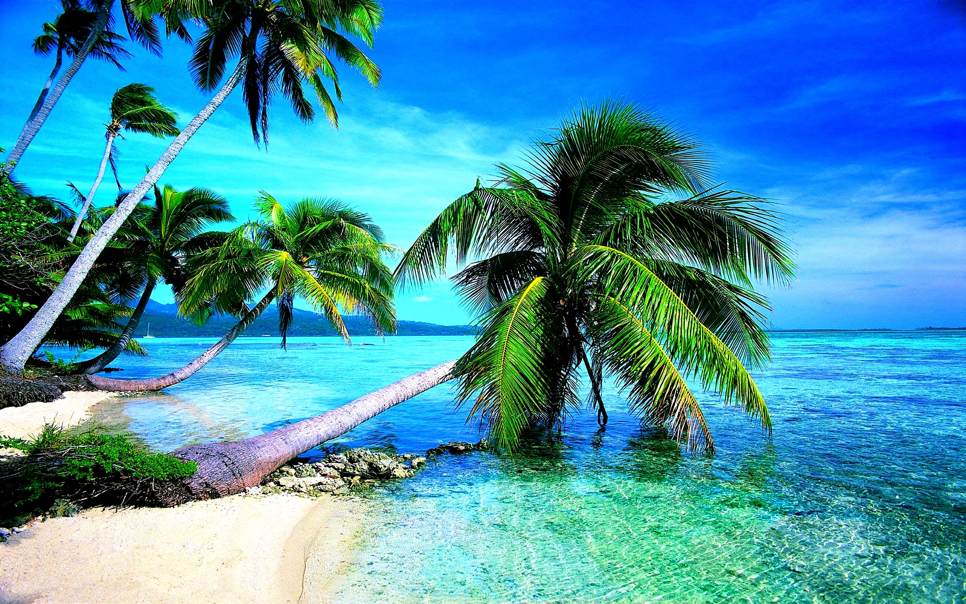 Скачать обои бесплатно Море, Пляж, Пальмы, Горизонт, Океан, Тропический, Земля/природа картинка на рабочий стол ПК