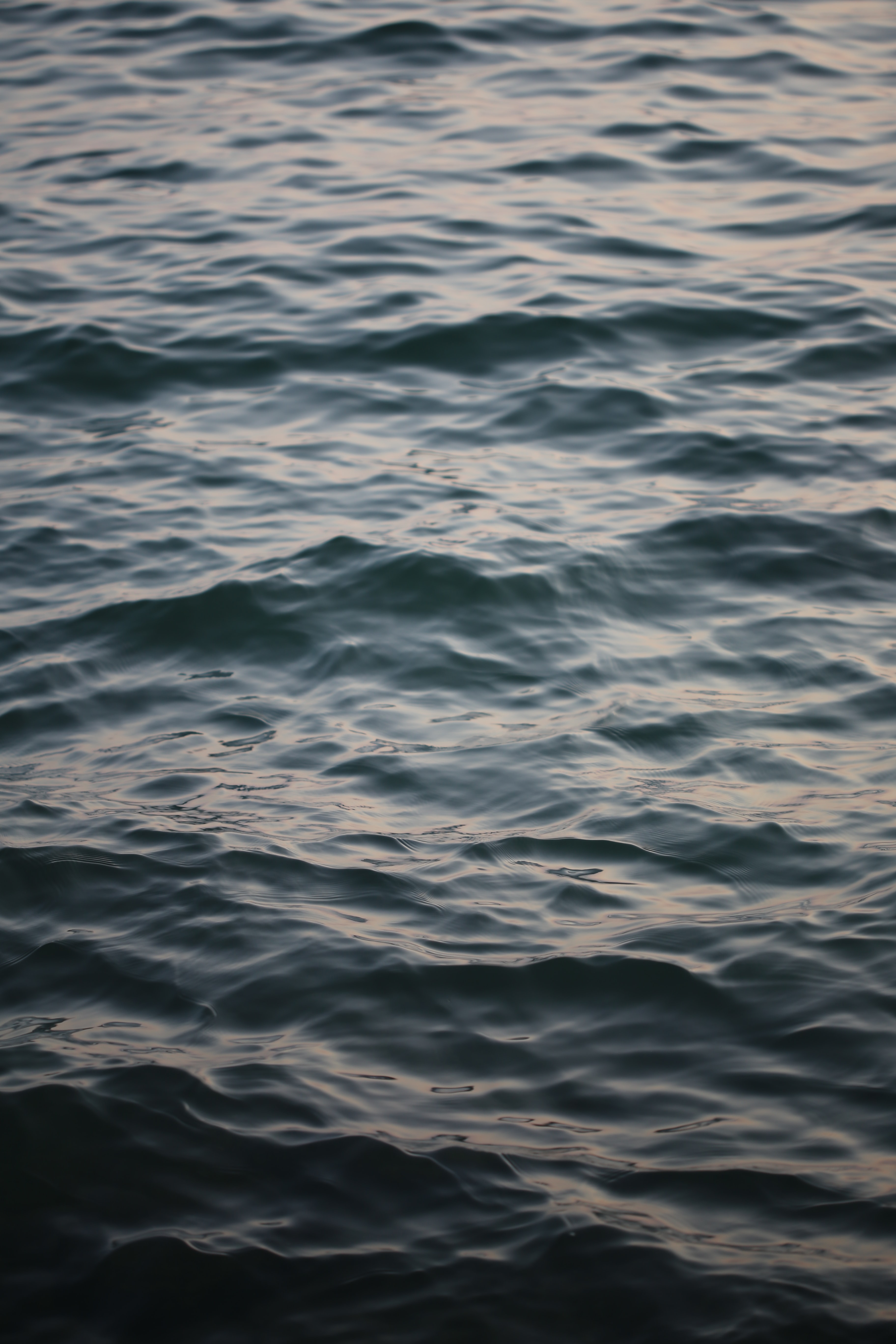 nature, water, waves, ripples, ripple, basin