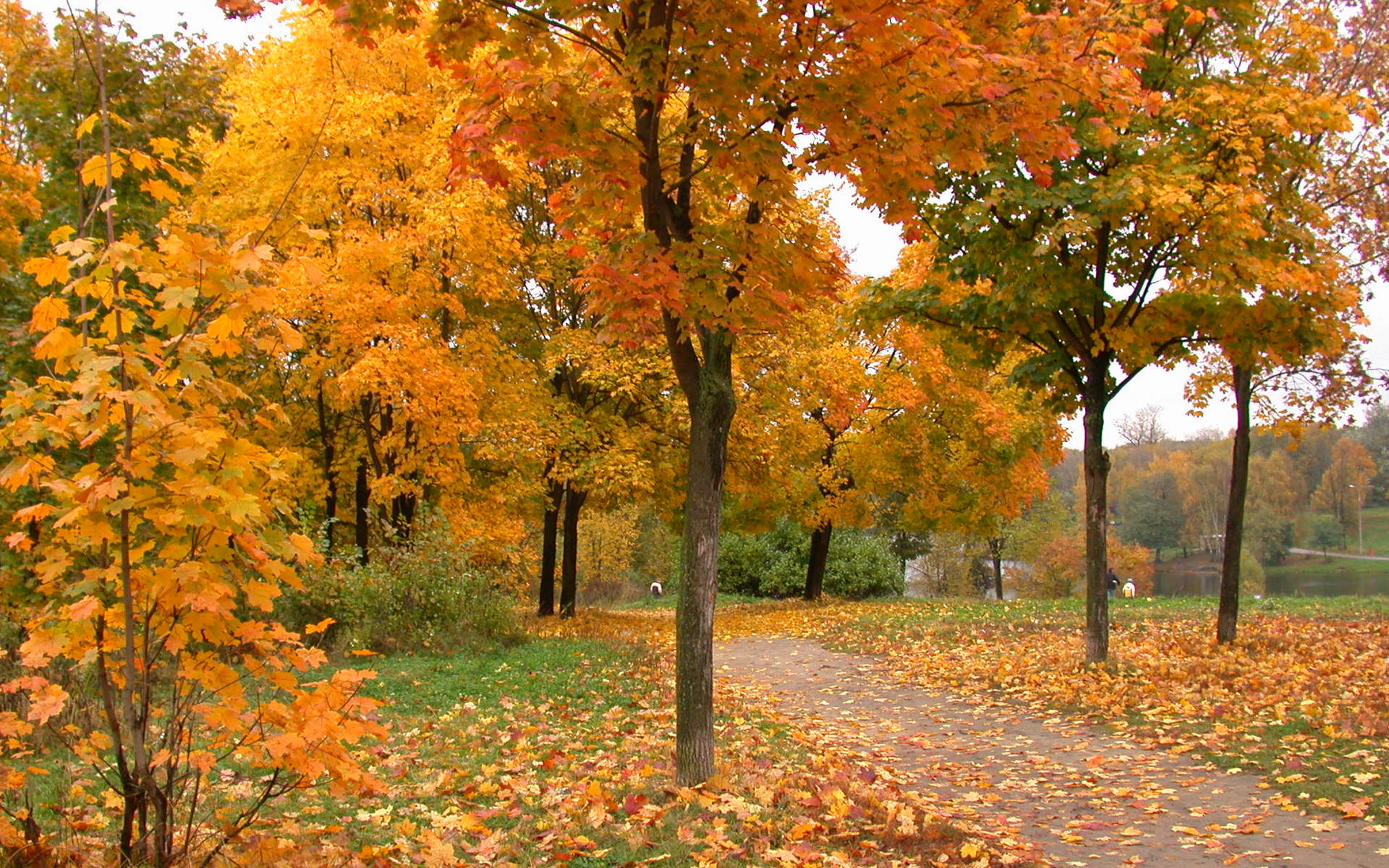 Téléchargez gratuitement l'image Automne, Terre/nature sur le bureau de votre PC