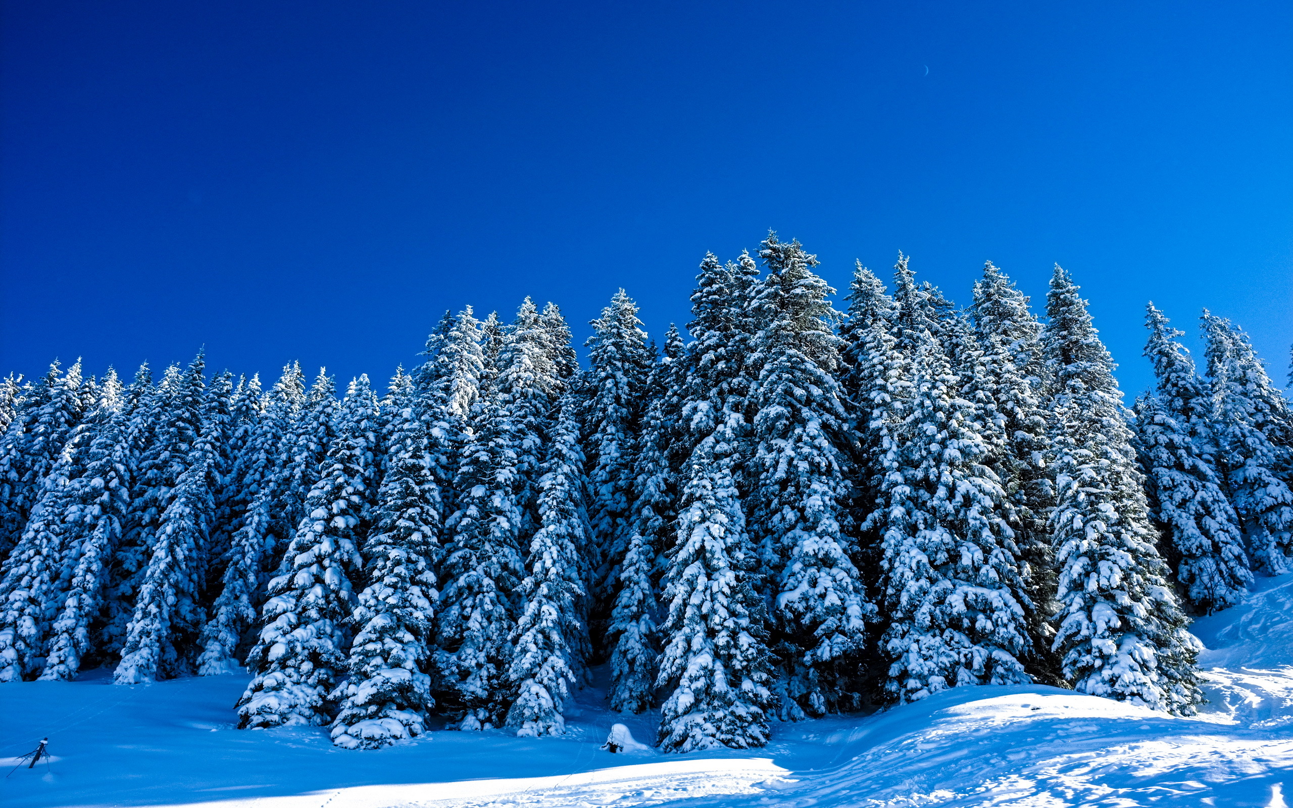 Descarga gratuita de fondo de pantalla para móvil de Invierno, Tierra/naturaleza.