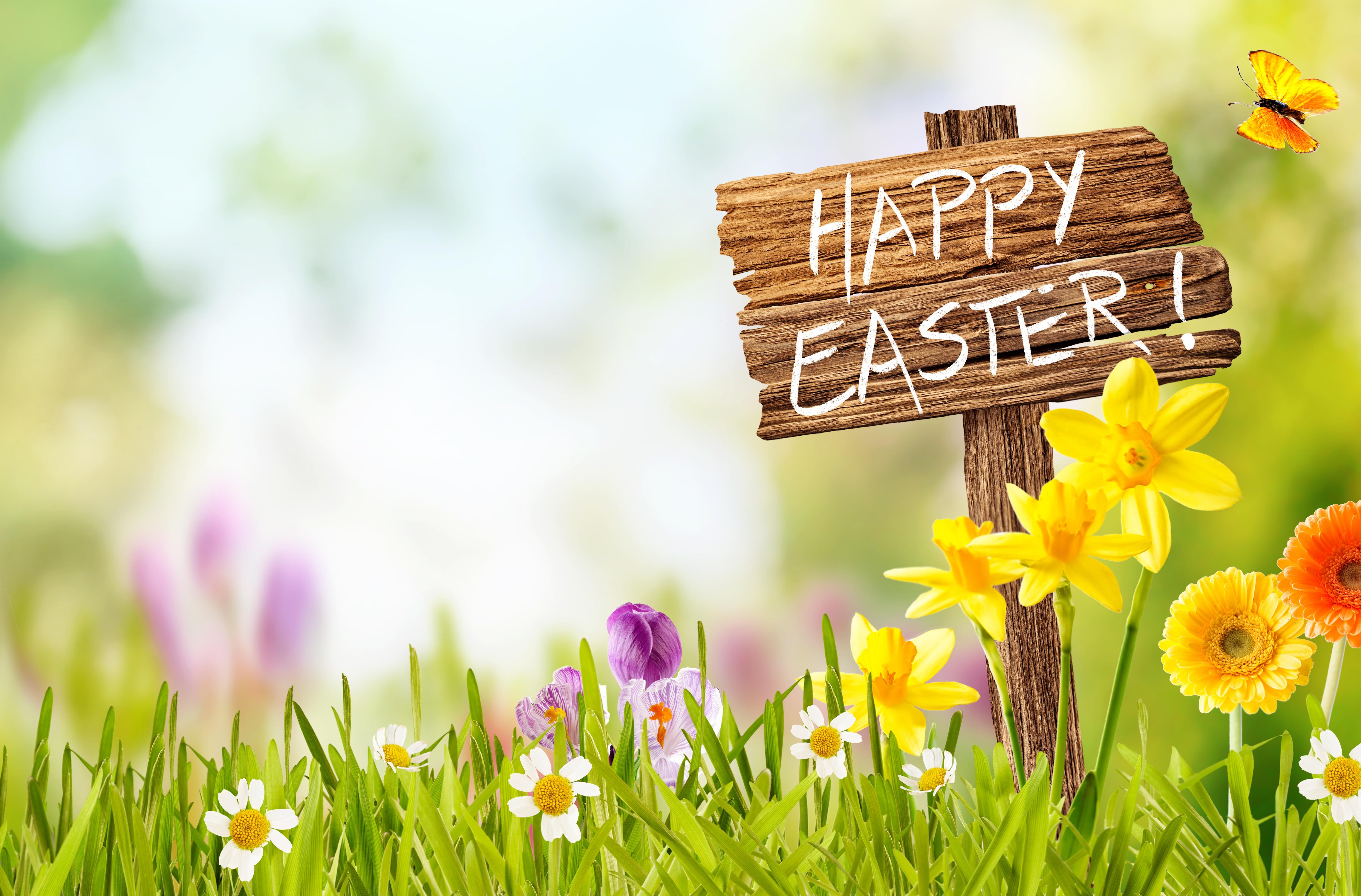 Download mobile wallpaper Easter, Flower, Holiday, Spring, Happy Easter for free.