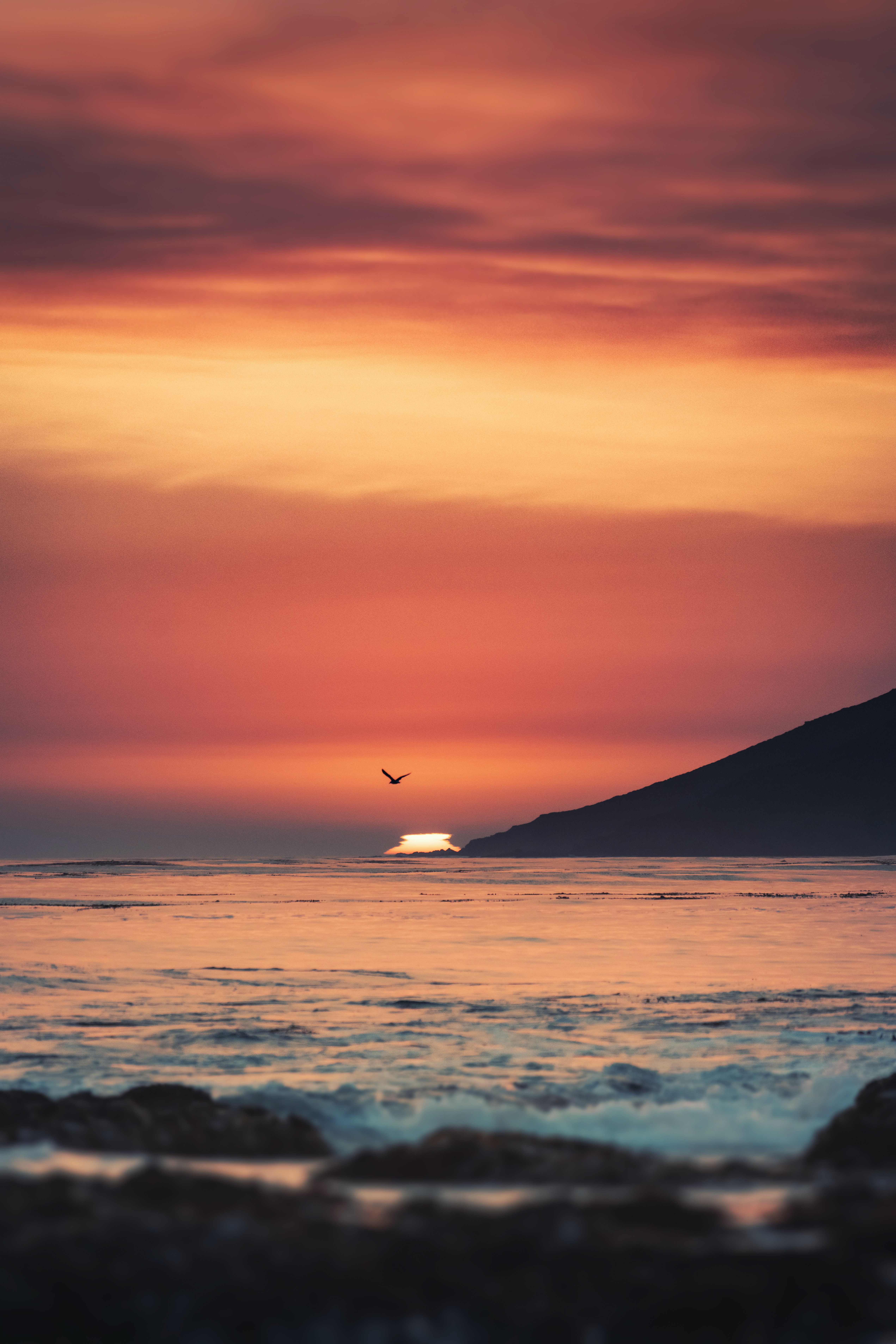 Free download wallpaper Nature, Sunset, Horizon, Sea, Waves, Bird on your PC desktop