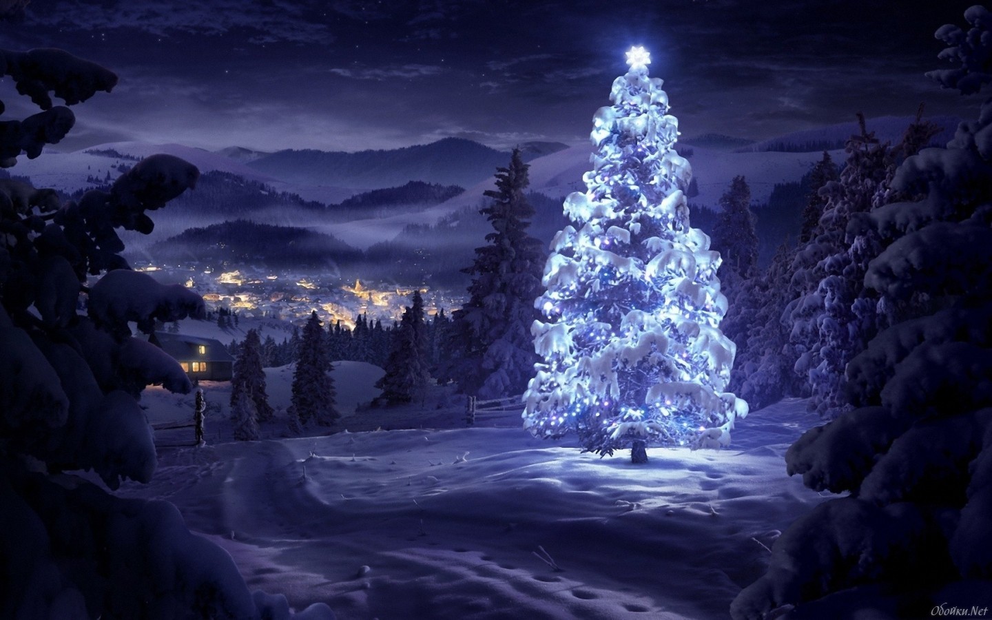 christmas xmas, fir trees, holidays, winter, new year, snow, pictures, blue Full HD
