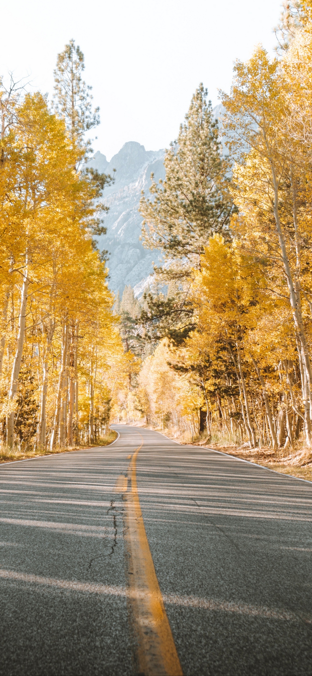 Handy-Wallpaper Natur, Herbst, Straße, Baum, Menschengemacht kostenlos herunterladen.