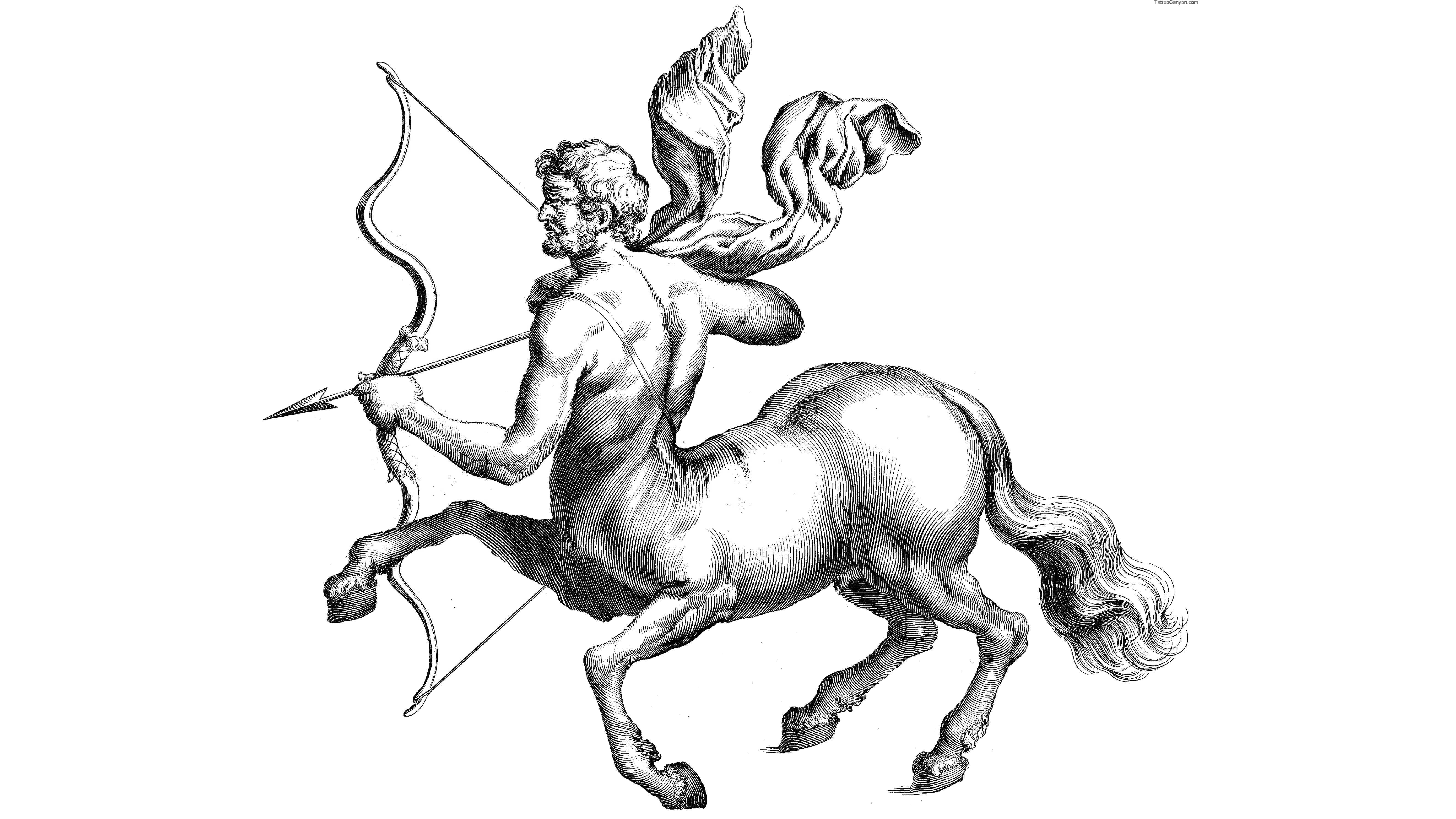 fantasy, centaur