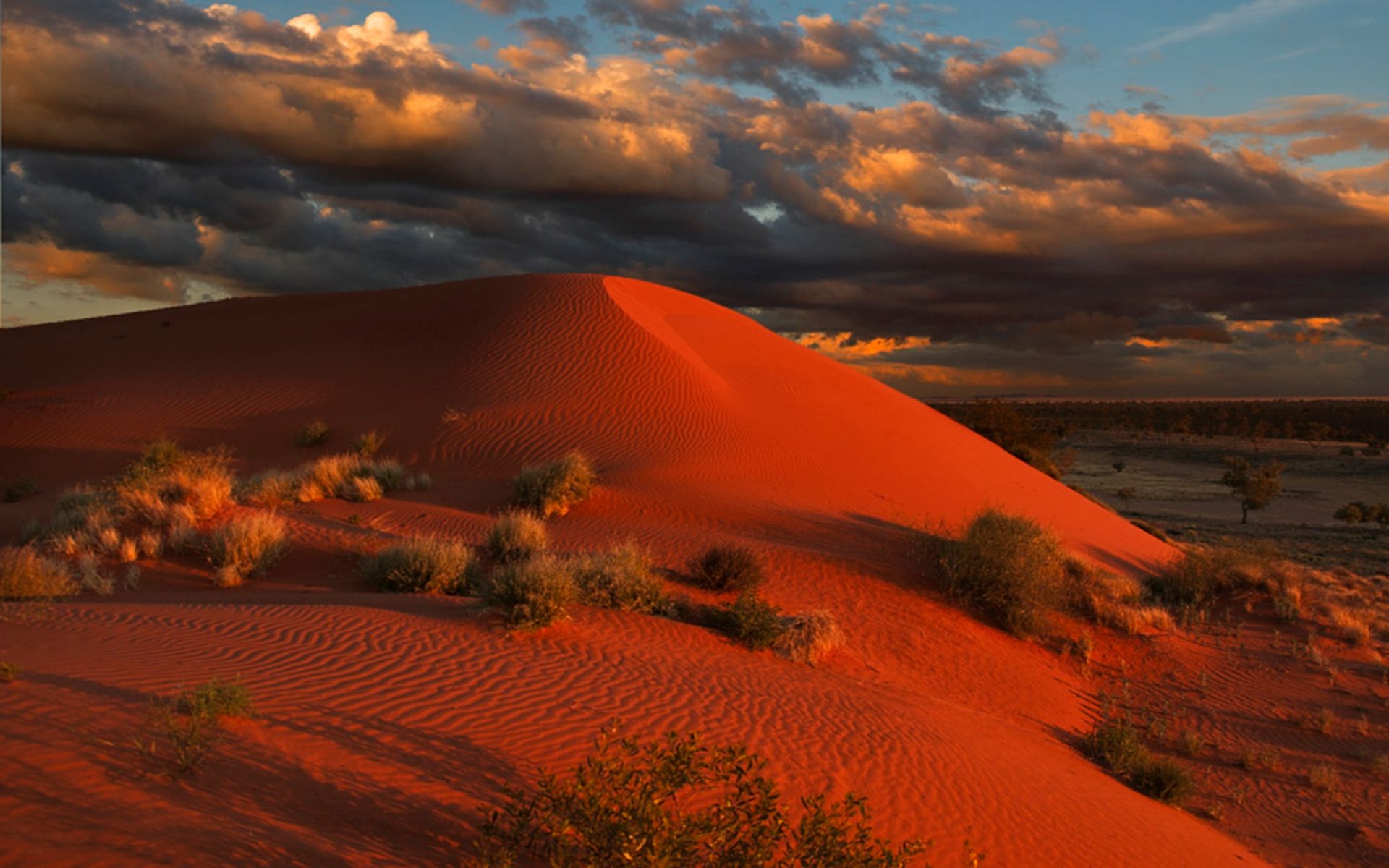 Скачать картинку Облака, Пустыня, Дюна, Австралия, Земля/природа в телефон бесплатно.
