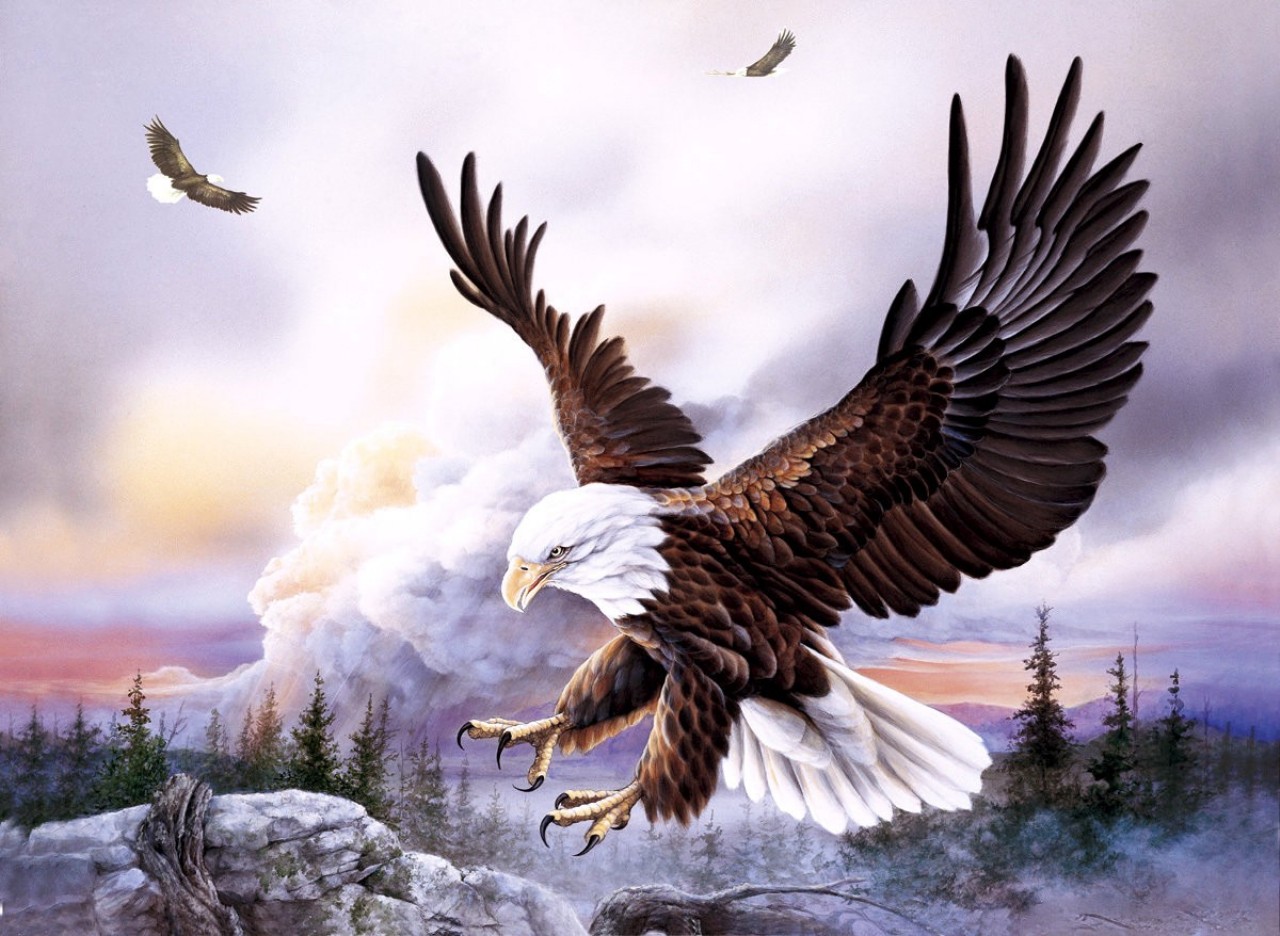 Free download wallpaper Animal, Eagle, Artistic on your PC desktop