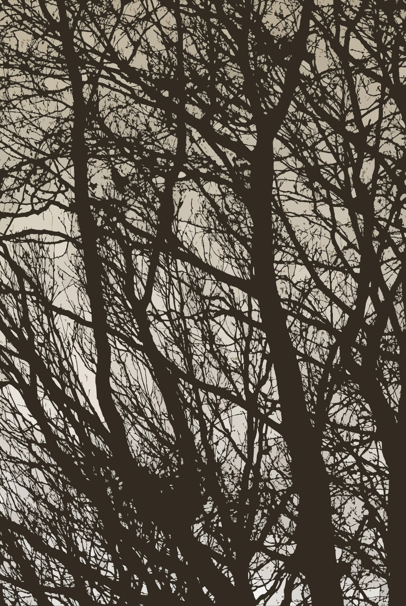 trees, minimalism, branches, bw, chb Panoramic Wallpaper