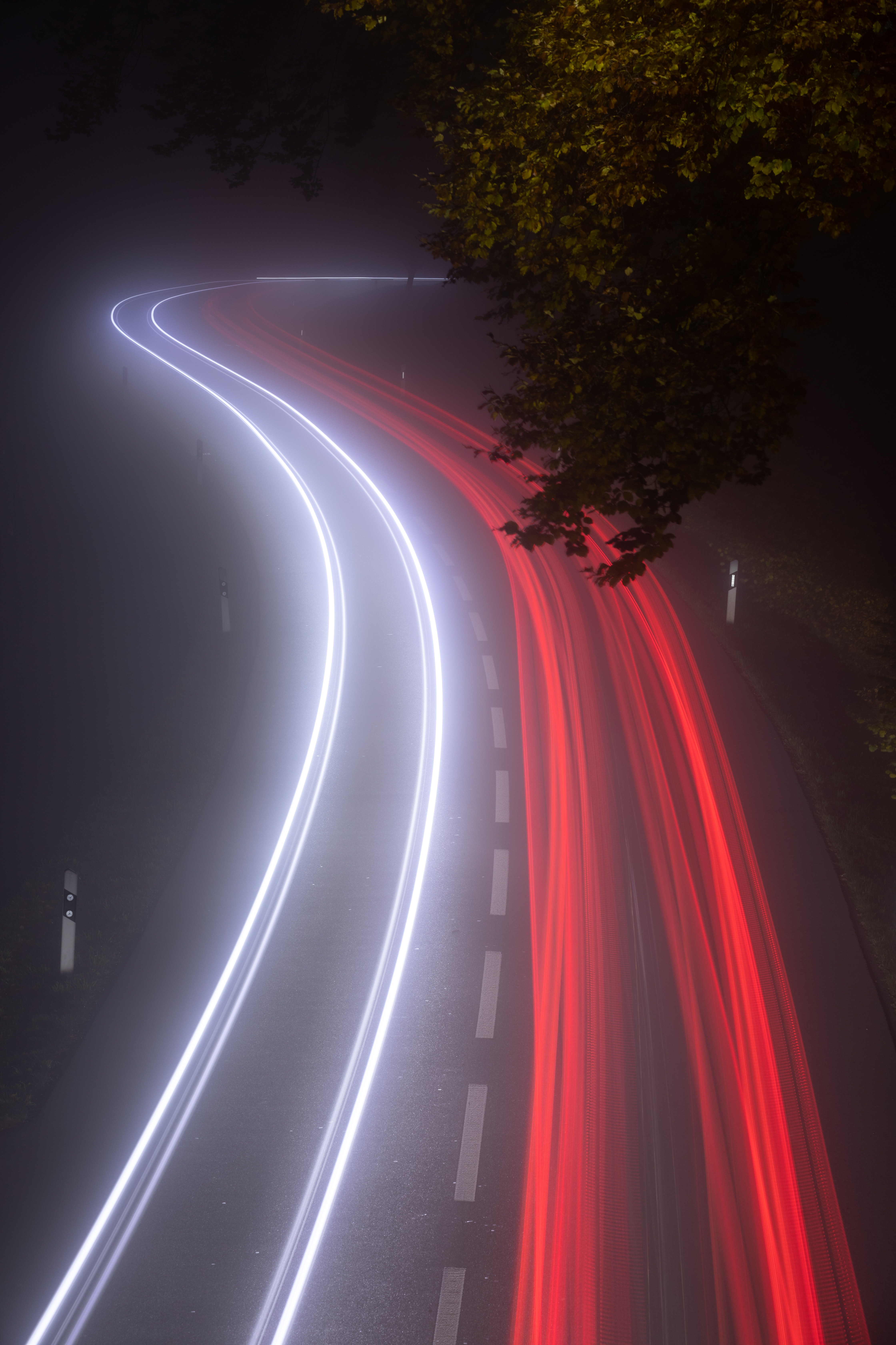 fog, lights, dark, night, road, long exposure