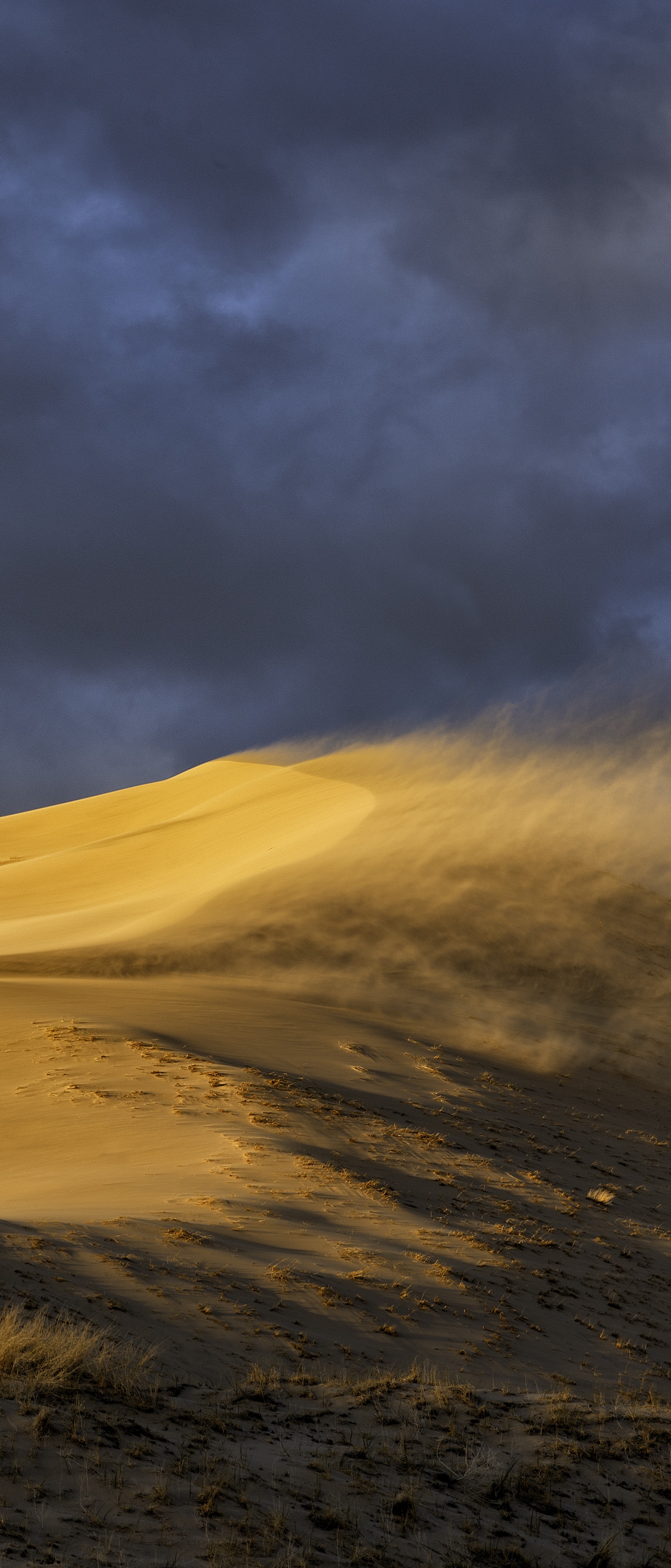 Download mobile wallpaper Sand, Desert, Earth, Dune for free.