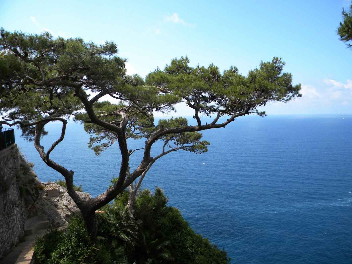 Скачать картинку Деревья, Пейзаж, Море в телефон бесплатно.