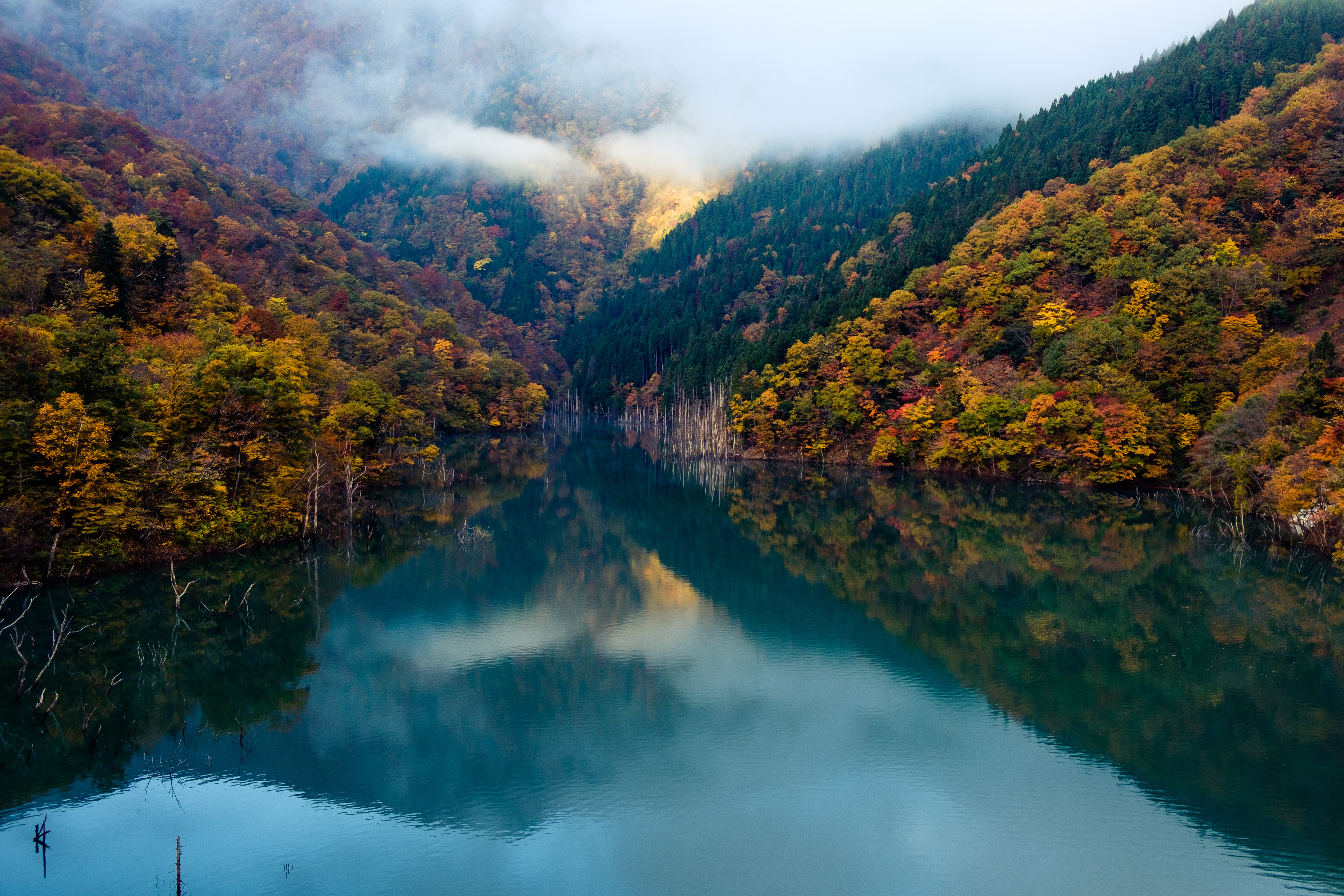 Скачать картинку Природа, Река, Осень, Отражение, Лес, Туман, Земля/природа в телефон бесплатно.