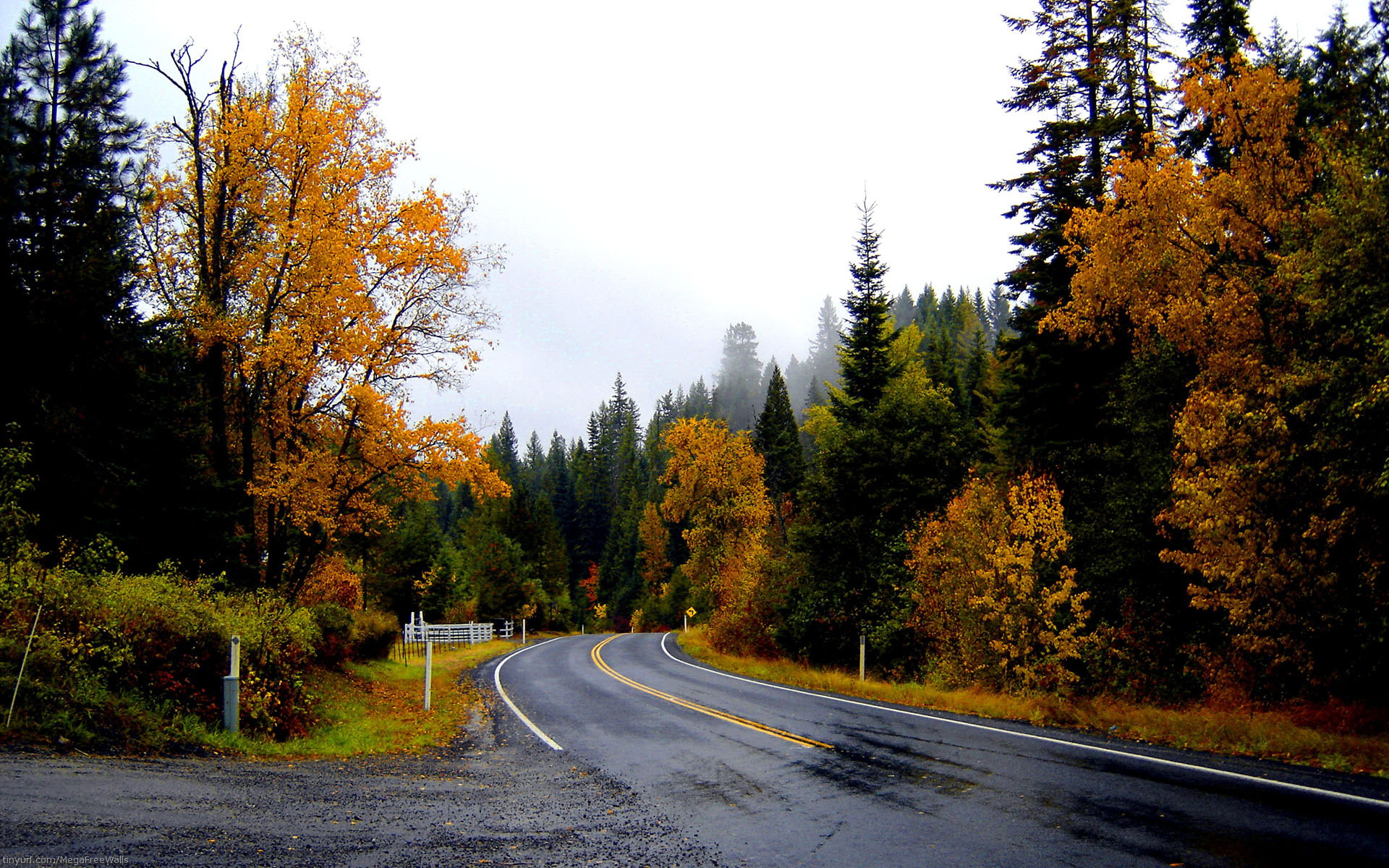 Descarga gratis la imagen Otoño, Árbol, Carretera, Hecho Por El Hombre en el escritorio de tu PC