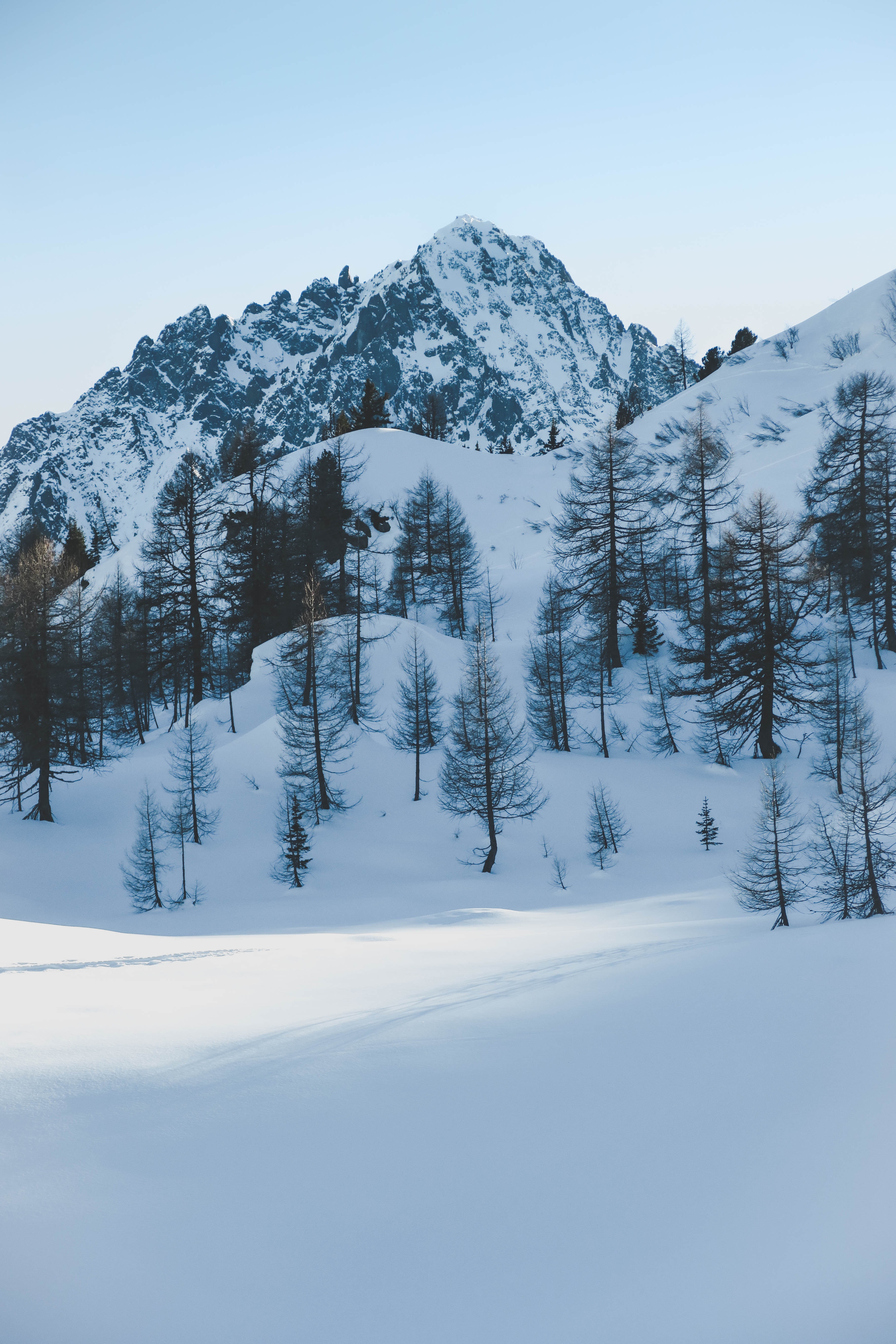 61965 завантажити шпалери зимовий пейзаж, зима, природа, дерева, сніг, гора, тіні - заставки і картинки безкоштовно