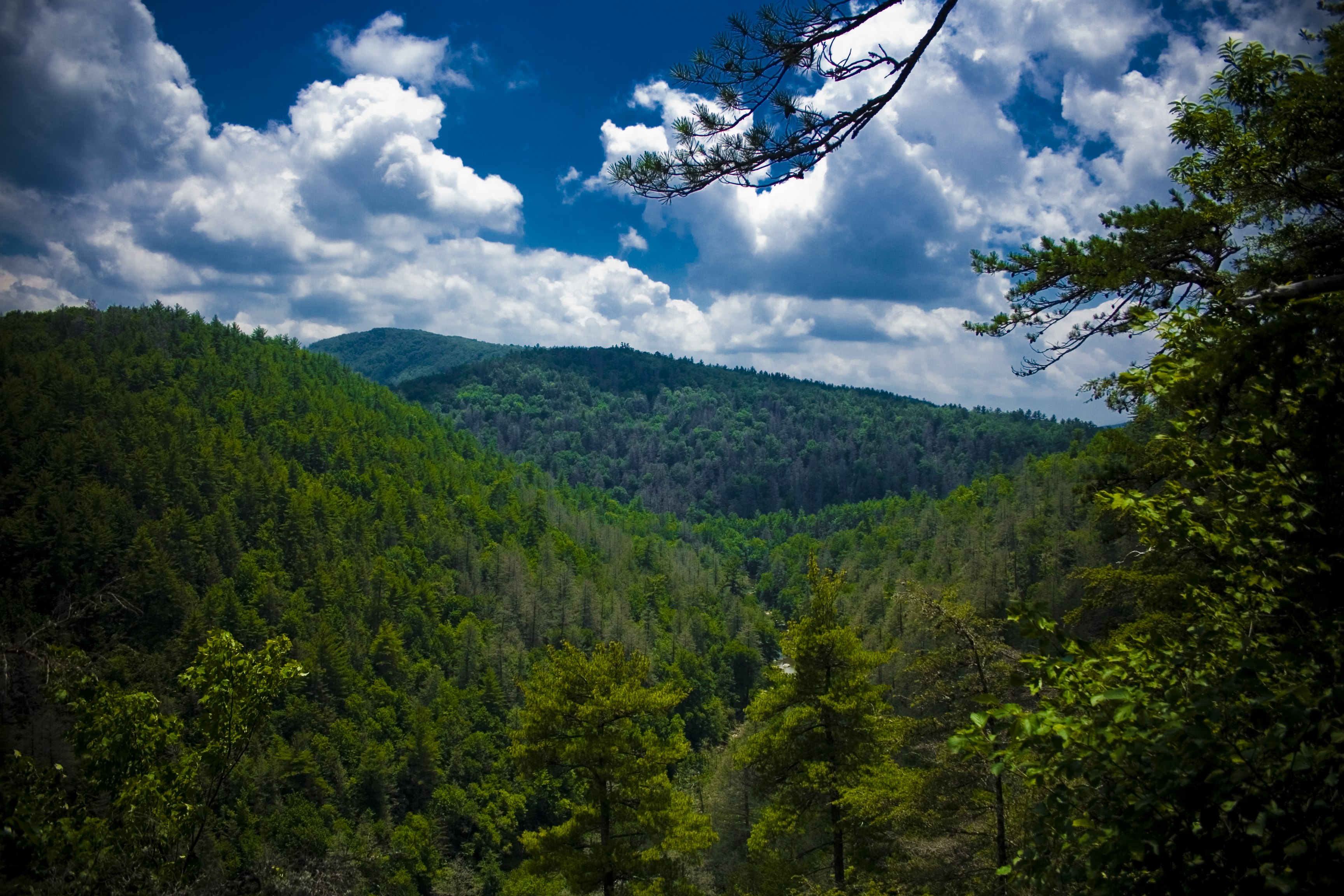 Free download wallpaper Nature, Trees, Sky, Mountains, Linville Falls, North Carolina, View From Above on your PC desktop