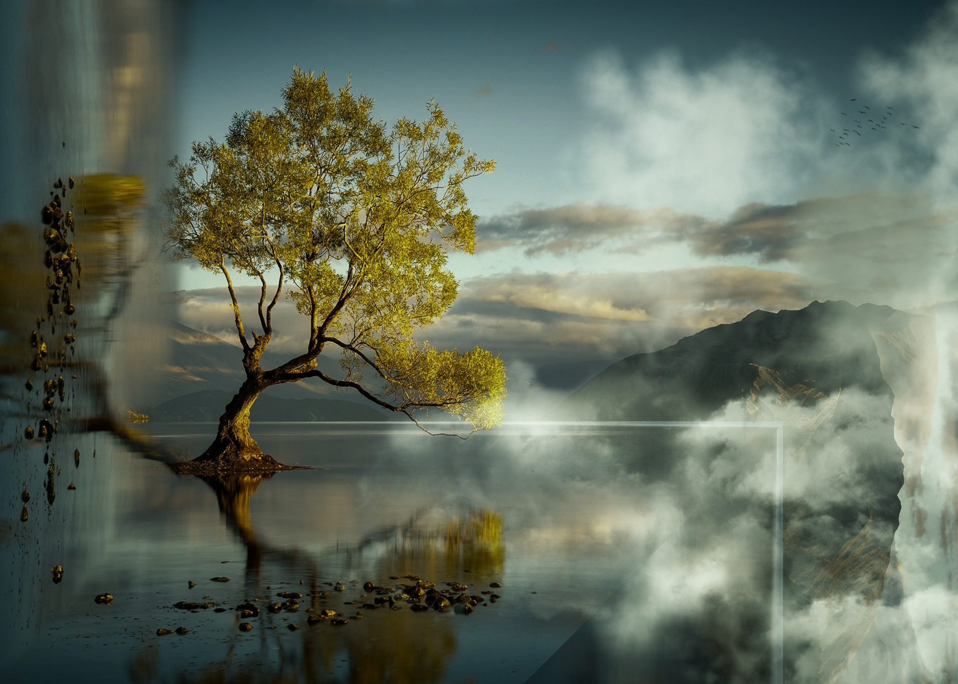 Free download wallpaper Tree, Illusion, Photography, Manipulation on your PC desktop