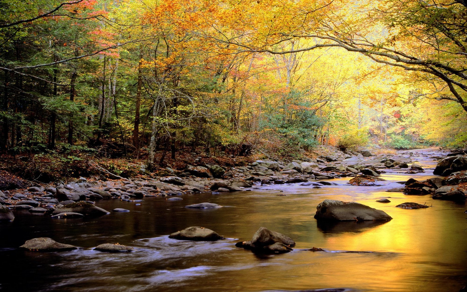 Téléchargez gratuitement l'image Terre/nature, Rivière sur le bureau de votre PC