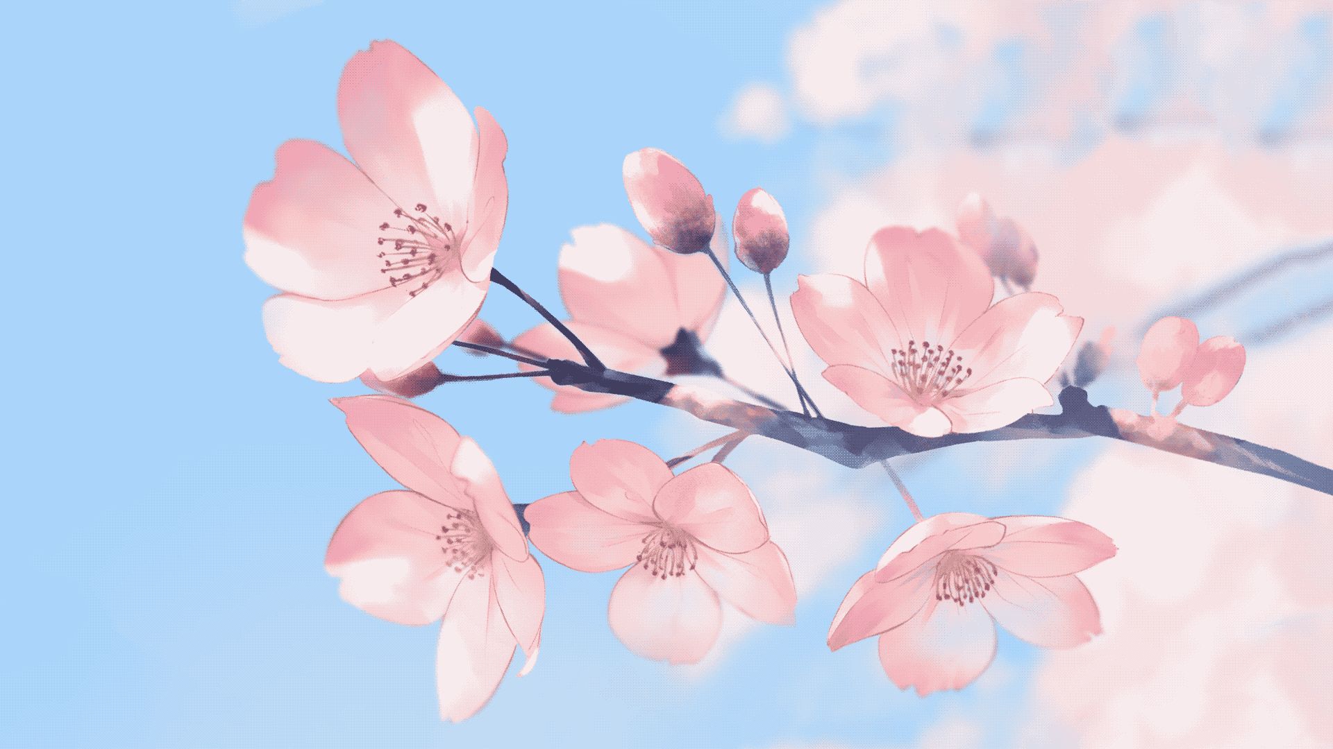 Free download wallpaper Flowers, Earth, Blossom on your PC desktop