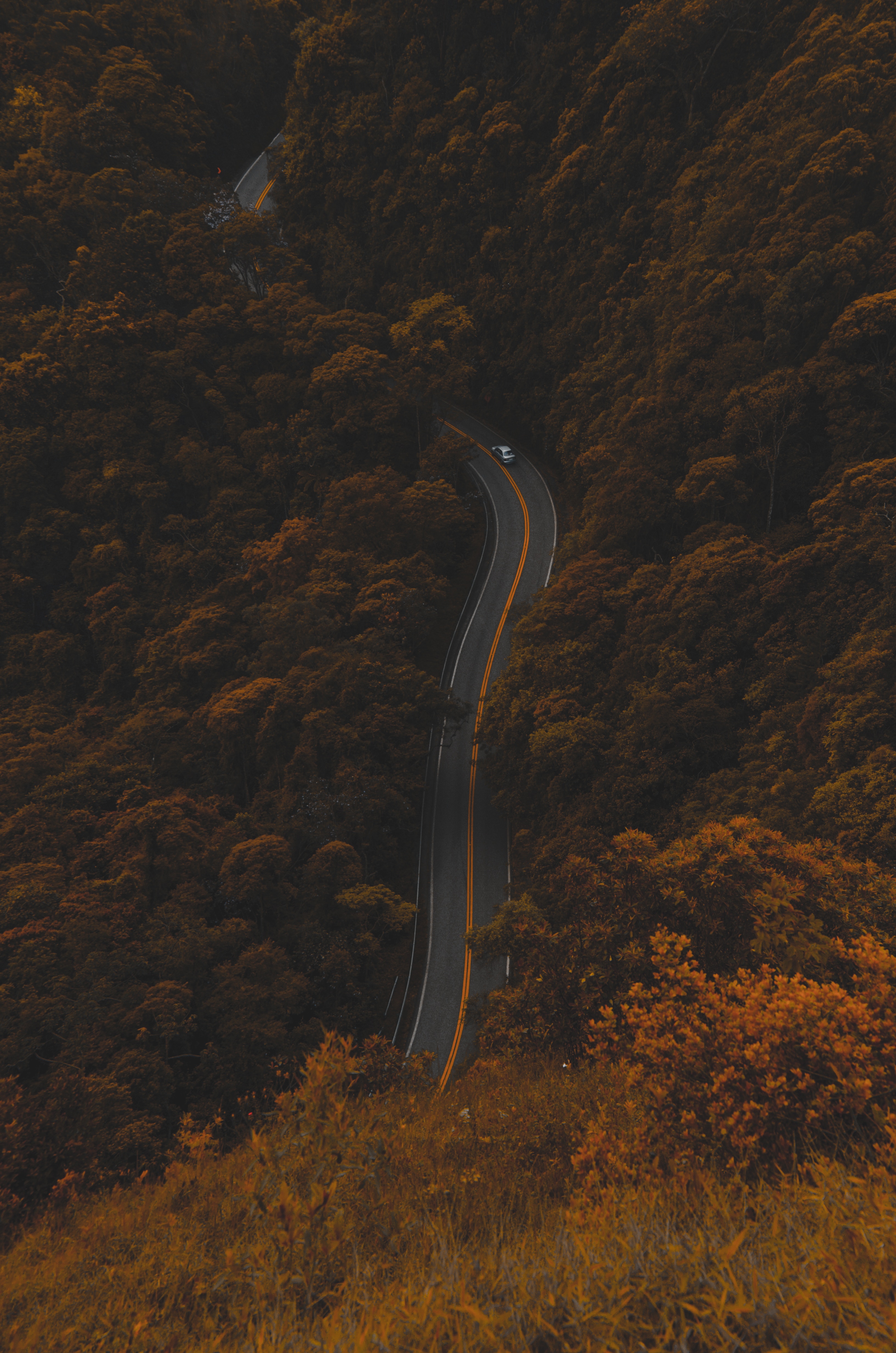 Free download wallpaper Nature, View From Above, Road, Forest, Foliage, Autumn on your PC desktop