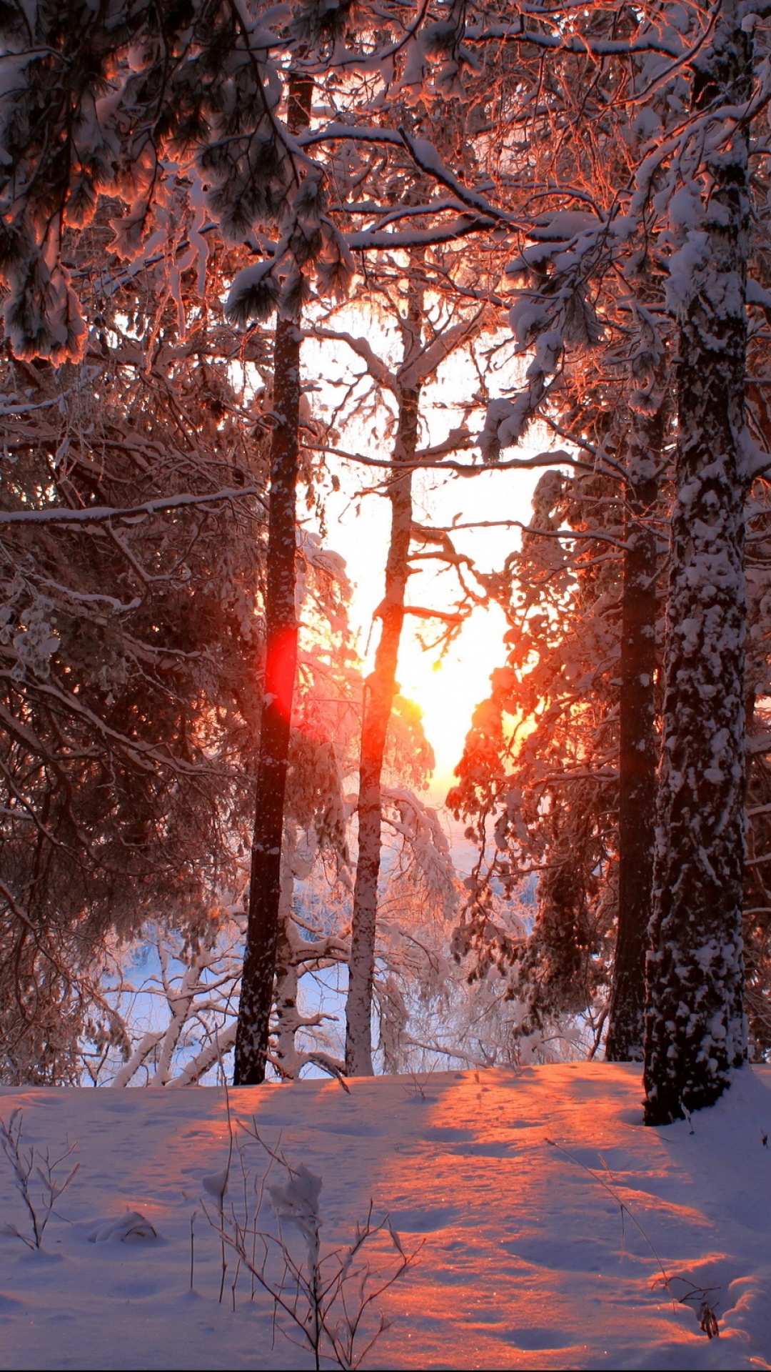 Handy-Wallpaper Winter, Erde/natur kostenlos herunterladen.