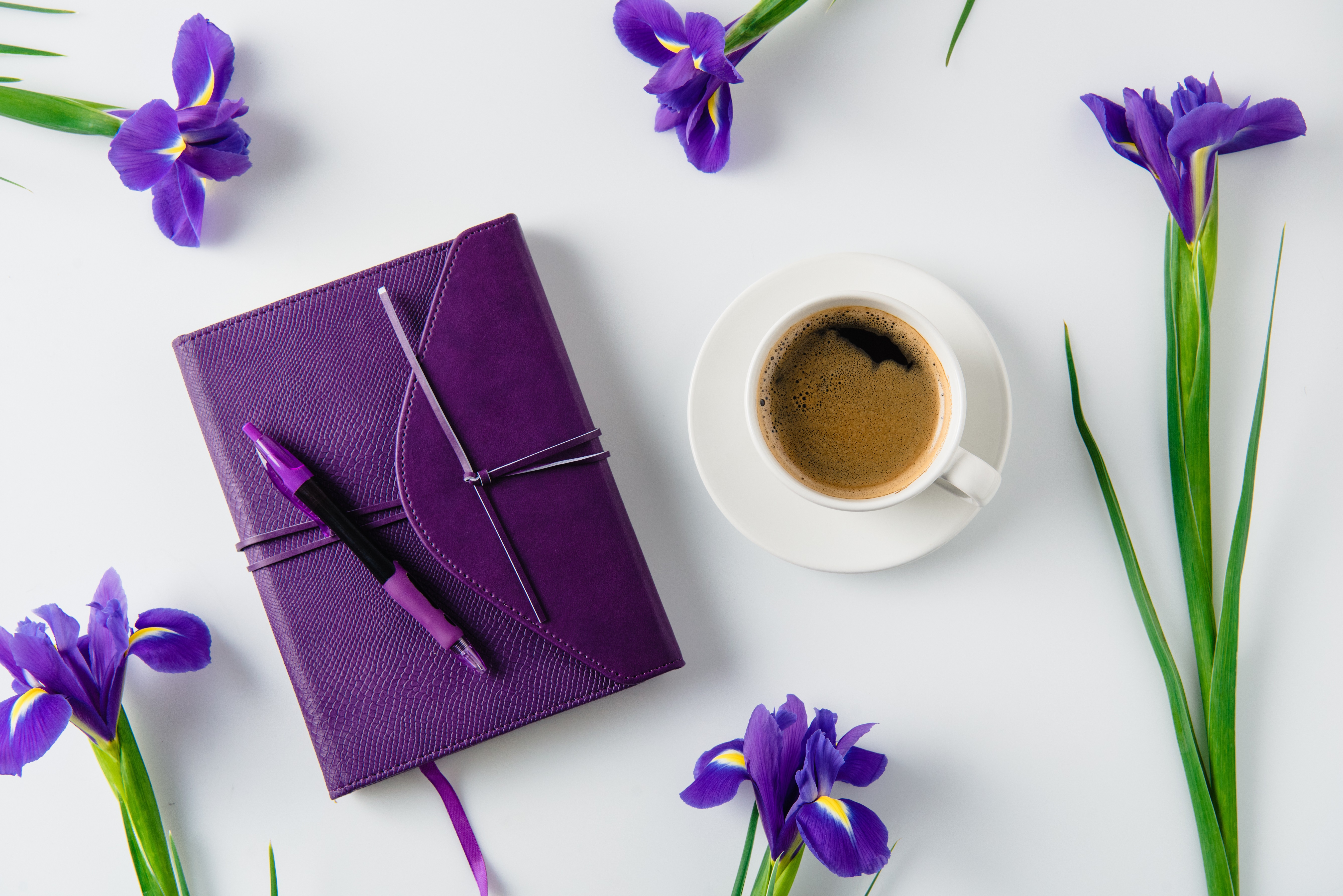 Téléchargez gratuitement l'image Nourriture, Café, Fleur, Boisson, Fleur Mauve, Tasse sur le bureau de votre PC