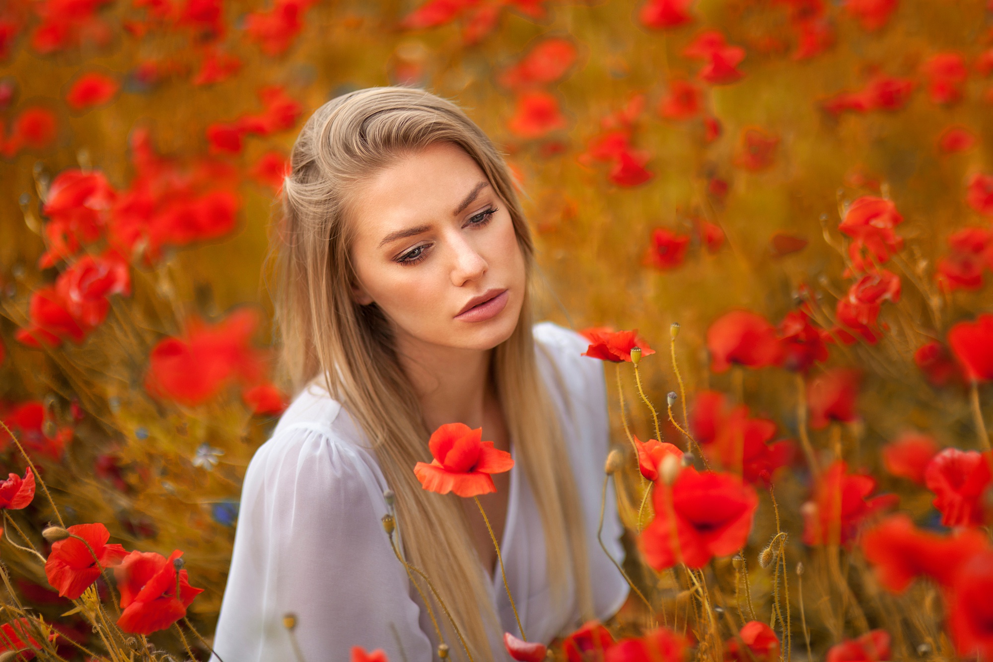 Handy-Wallpaper Mohn, Blume, Stimmung, Modell, Frauen, Blondinen, Rote Blume kostenlos herunterladen.