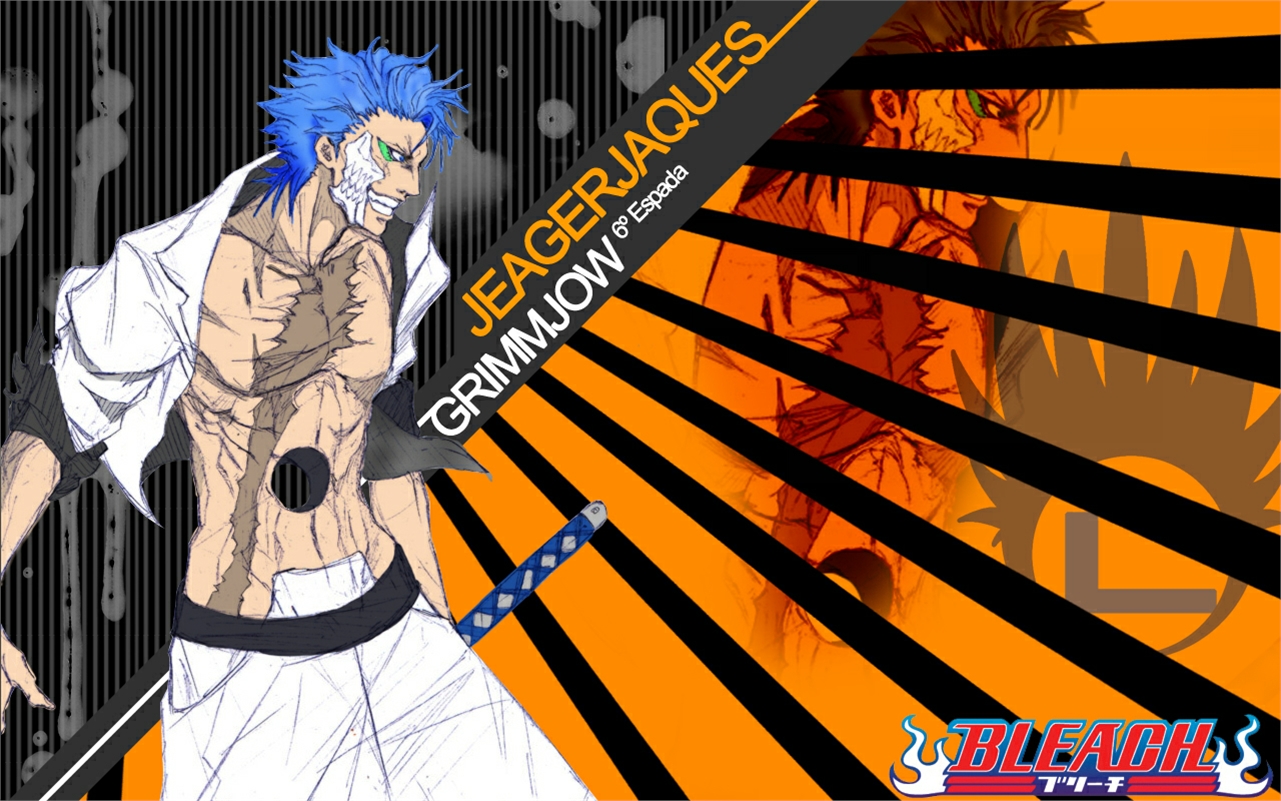 Handy-Wallpaper Bleach, Animes, Grimmjow Jaegerjaquez kostenlos herunterladen.