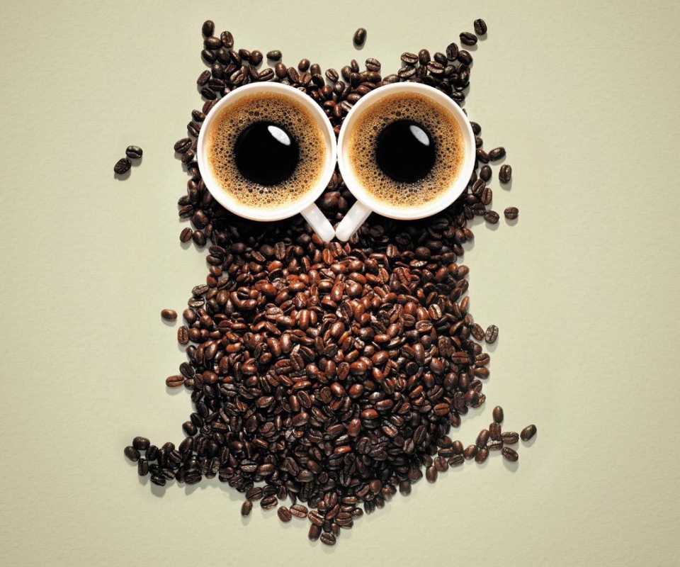 Download mobile wallpaper Funny, Food, Owl, Coffee, Coffee Beans for free.