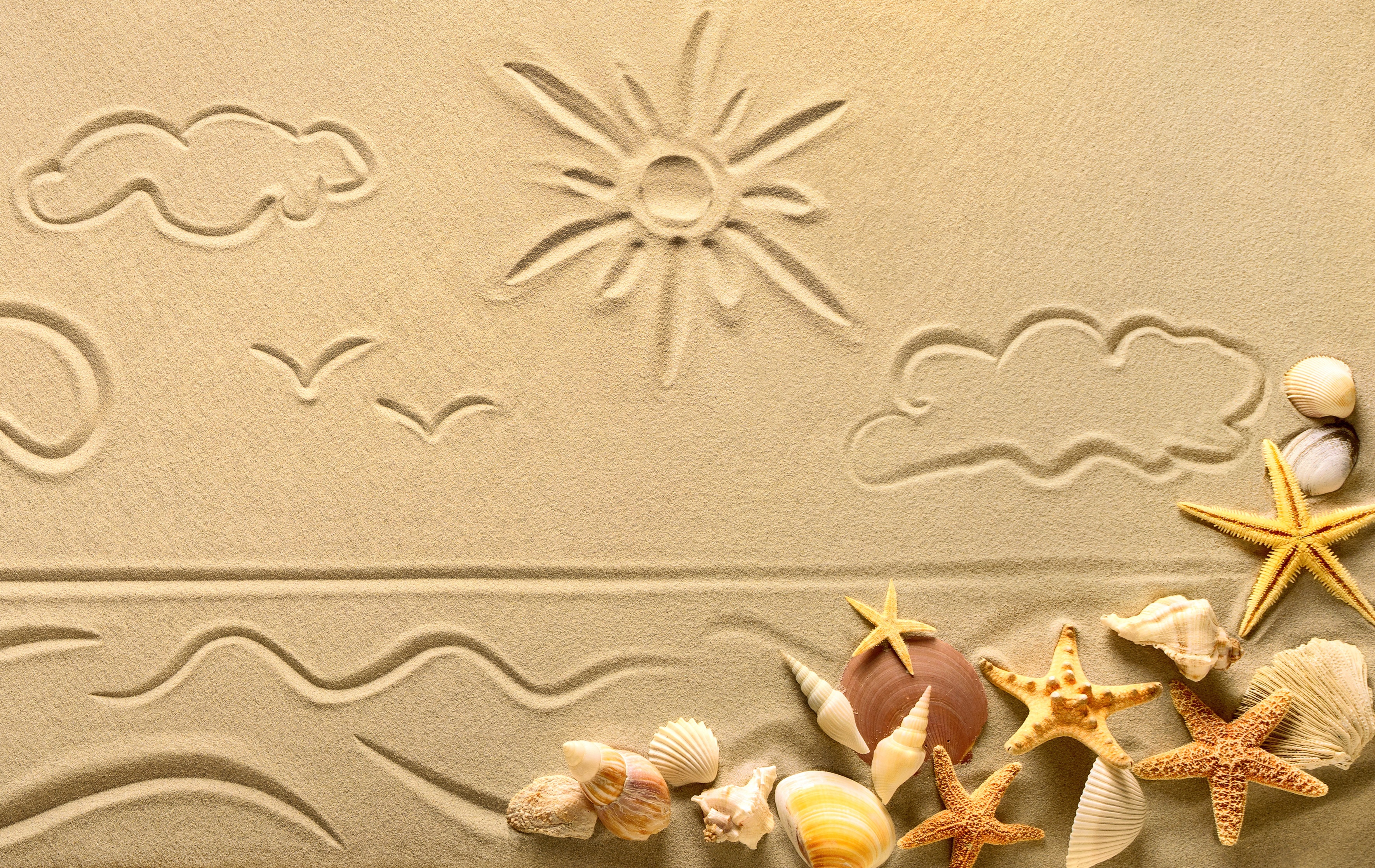 Handy-Wallpaper Sand, Sommer, Muschel, Seestern, Künstlerisch kostenlos herunterladen.