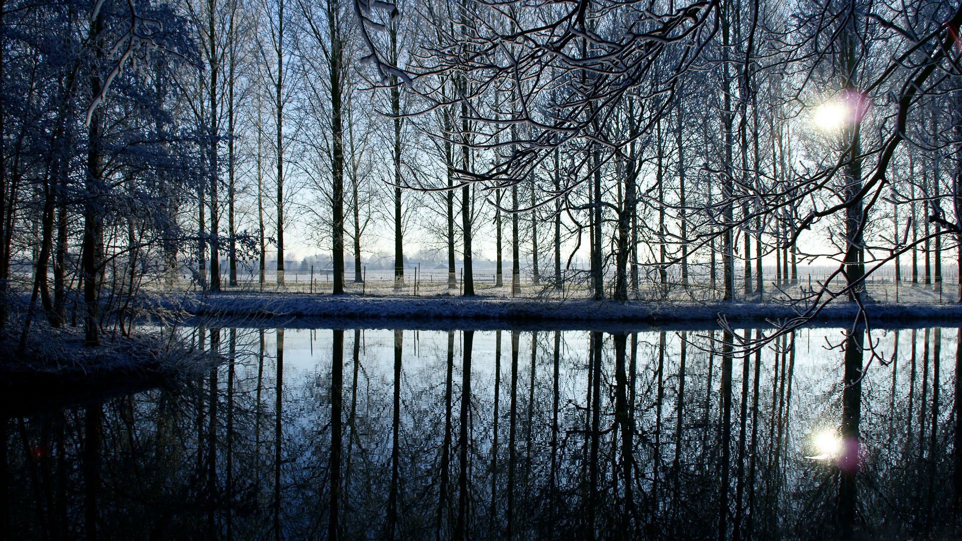 Free download wallpaper Trees, Reflection, Evening, Nature, Forest on your PC desktop