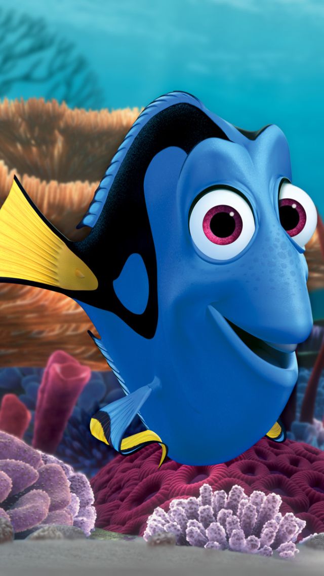 Handy-Wallpaper Fische, Fisch, Filme, Dory (Findet Nemo), Findet Nemo kostenlos herunterladen.