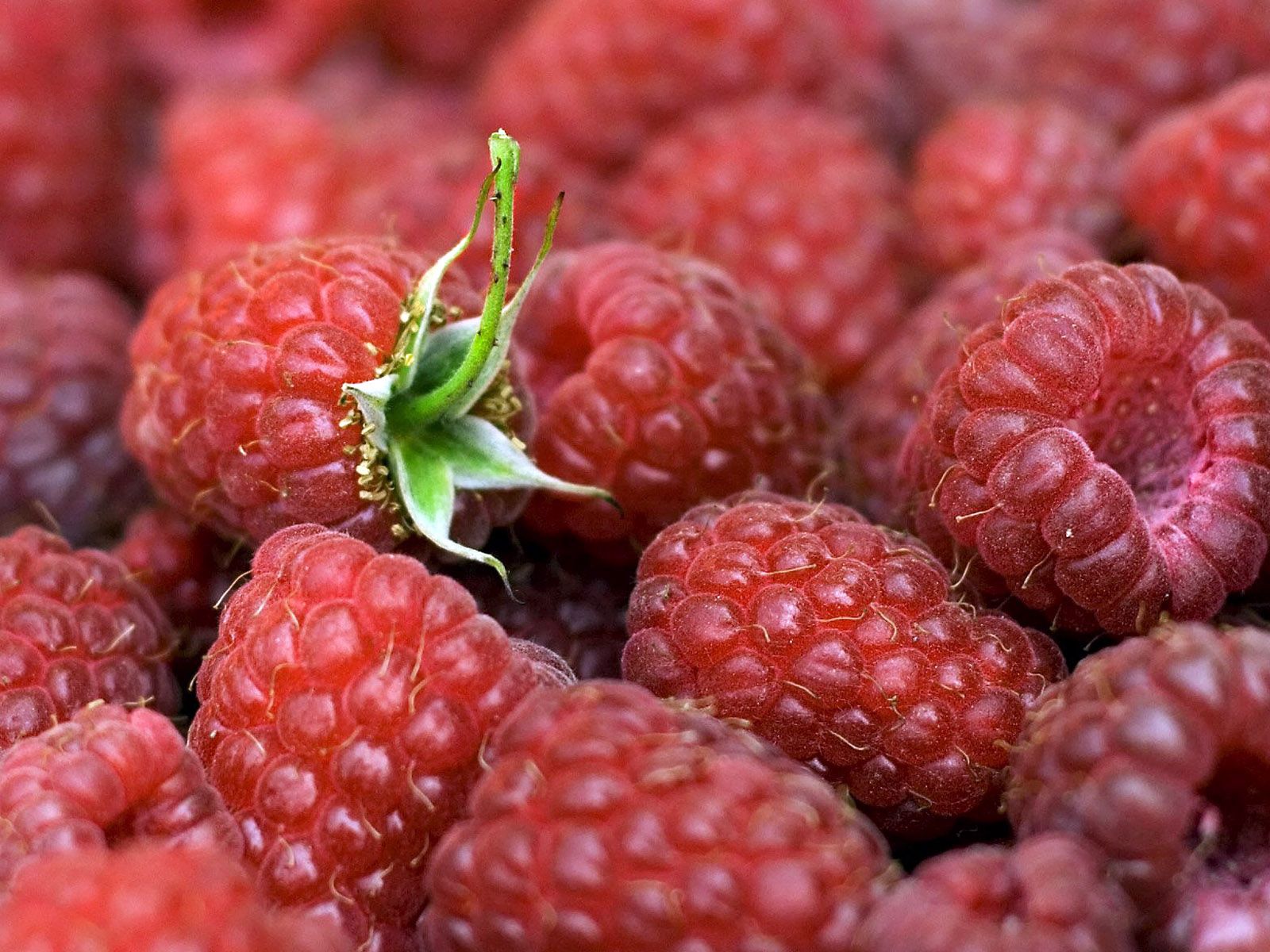 Free download wallpaper Raspberry, Ripe, Berries, Leaves, Food on your PC desktop