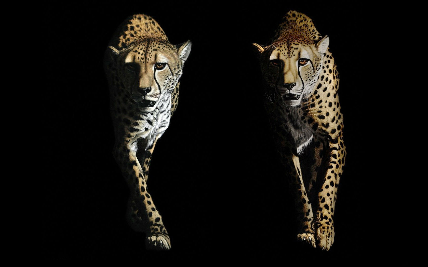 Download mobile wallpaper Cats, Cheetah, Animal for free.