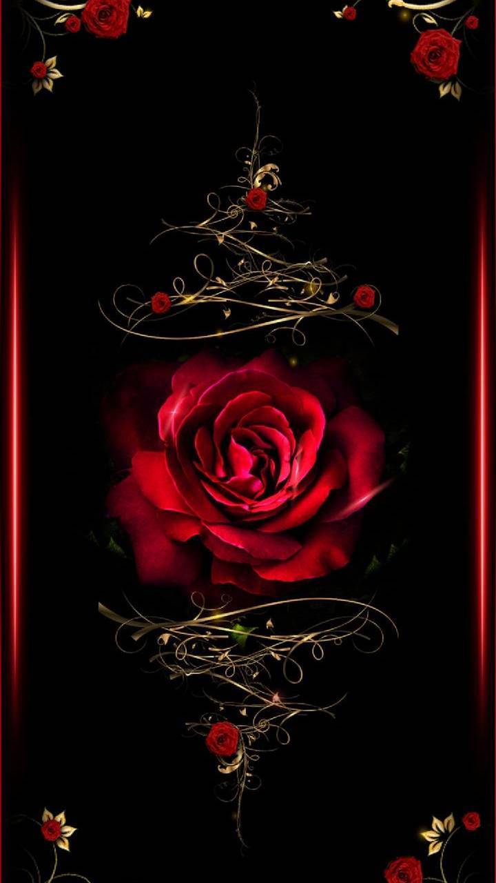 Скачать картинку Роза, Красная Роза, Художественные в телефон бесплатно.
