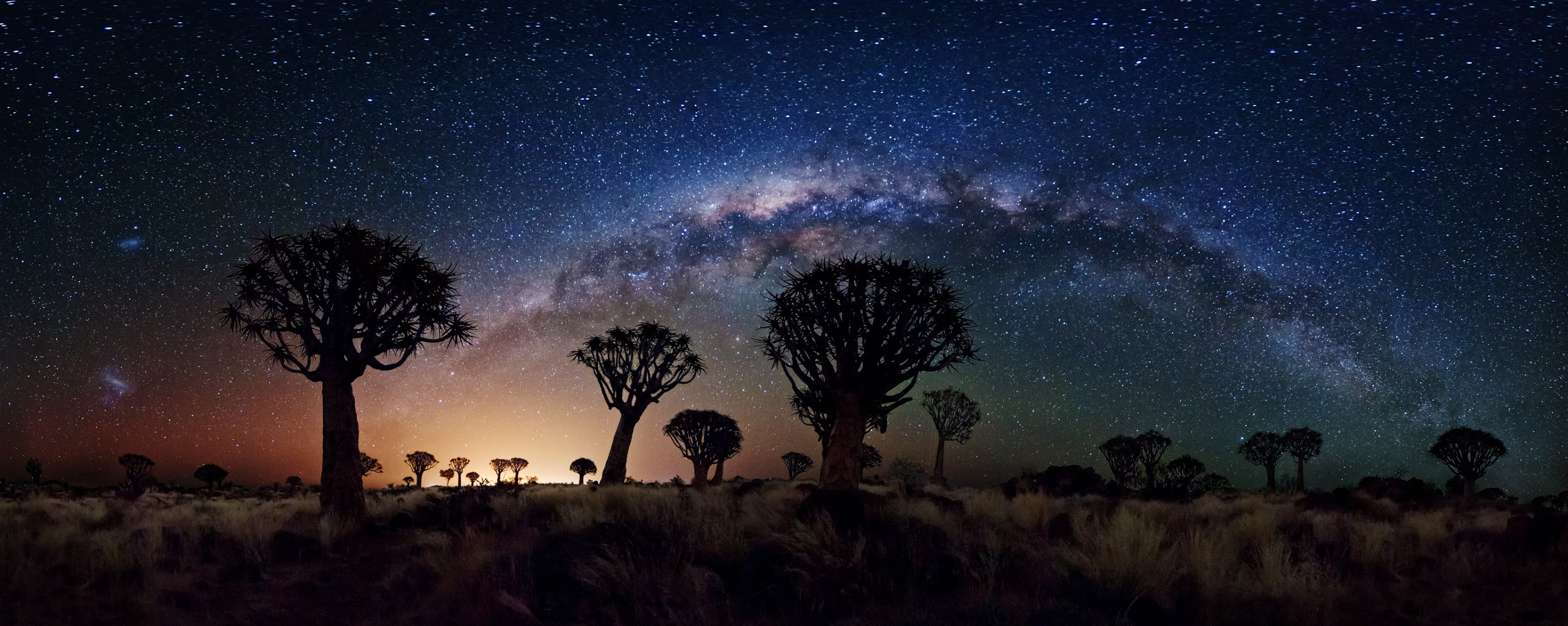 Laden Sie das Sterne, Wüste, Milchstraße, Nacht, Himmel, Erde/natur, Sternenklarer Himmel, Josua Baum-Bild kostenlos auf Ihren PC-Desktop herunter