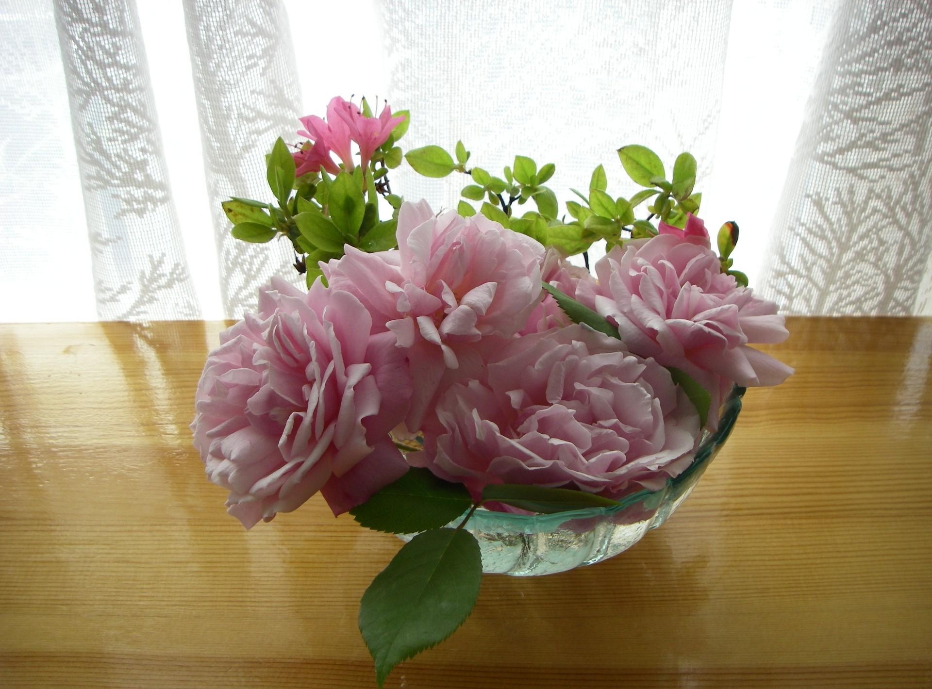 Laden Sie das Tisch, Tabelle, Vase, Vorhang, Blumen, Roses, Garten, Knospen-Bild kostenlos auf Ihren PC-Desktop herunter