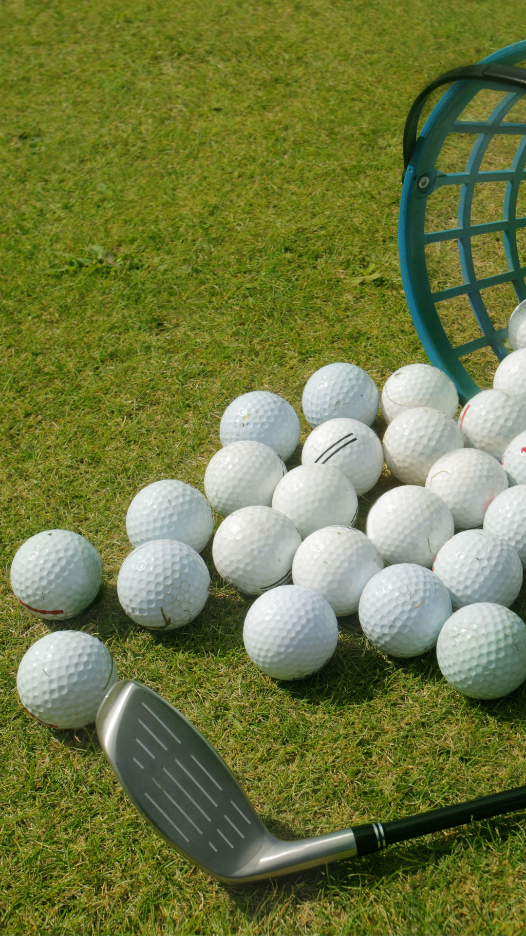sports, golf, golf ball, golf club