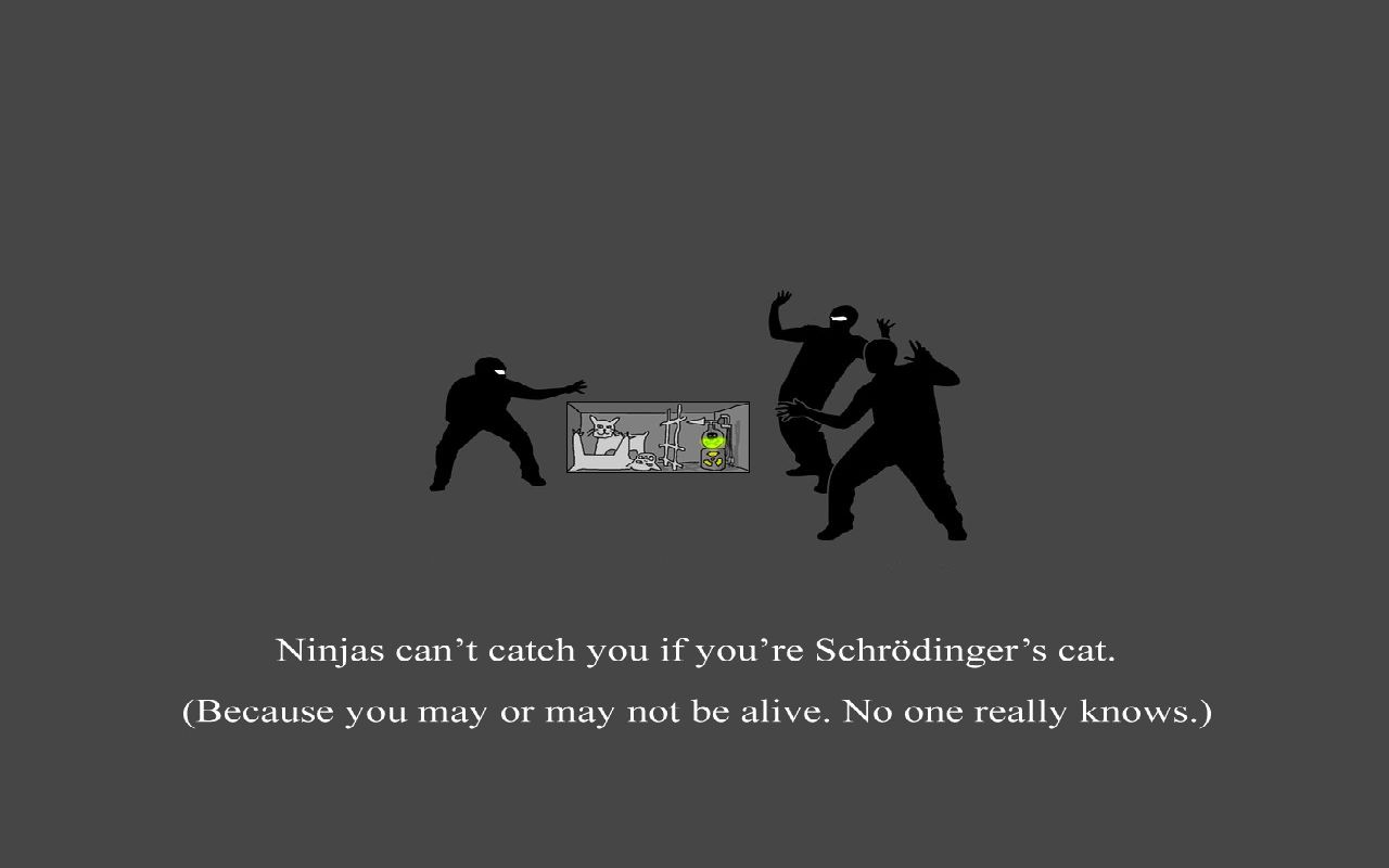 Baixe gratuitamente a imagem Humor, Ninja na área de trabalho do seu PC