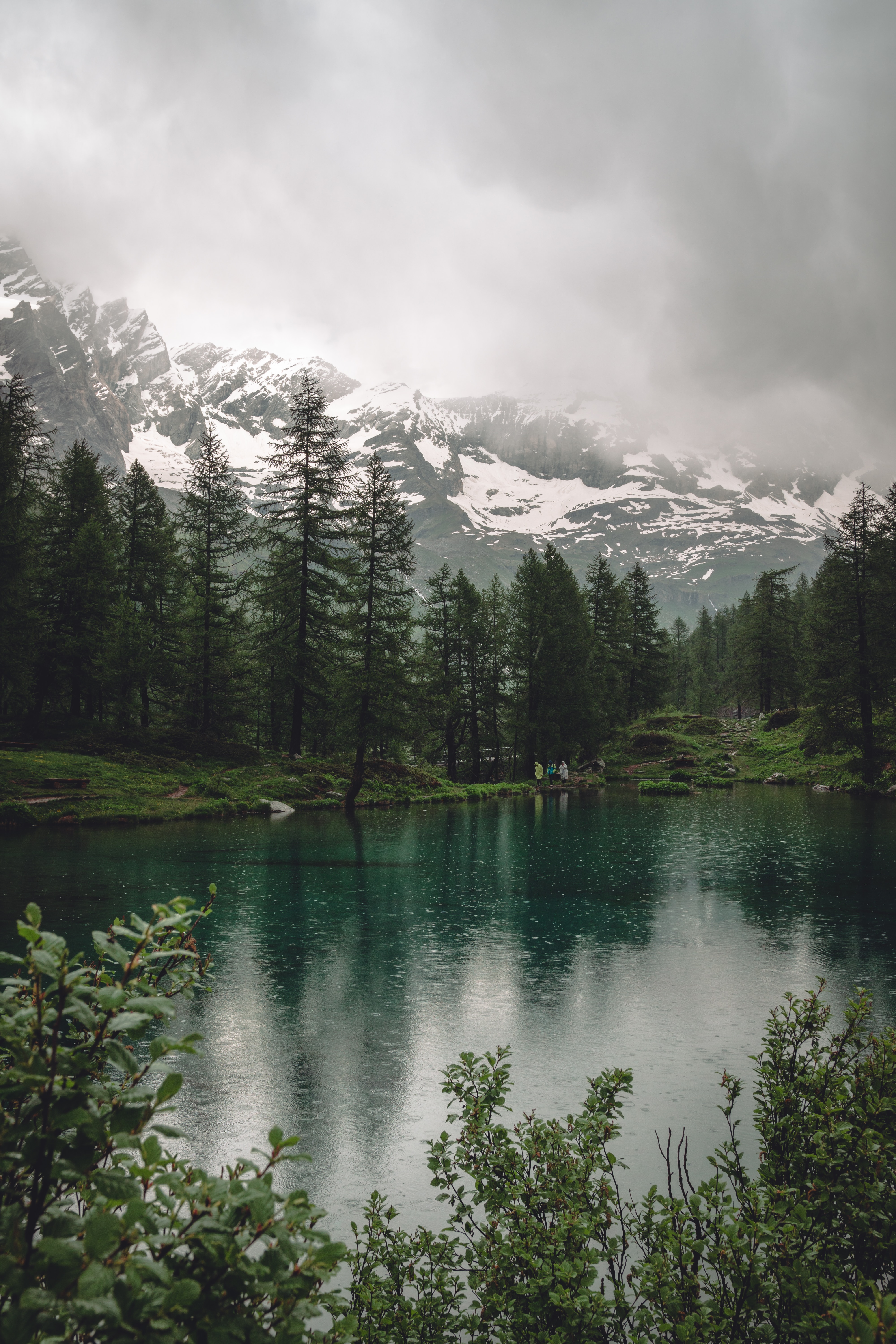 154667 télécharger l'image pluie, nature, arbres, montagnes, lac - fonds d'écran et économiseurs d'écran gratuits