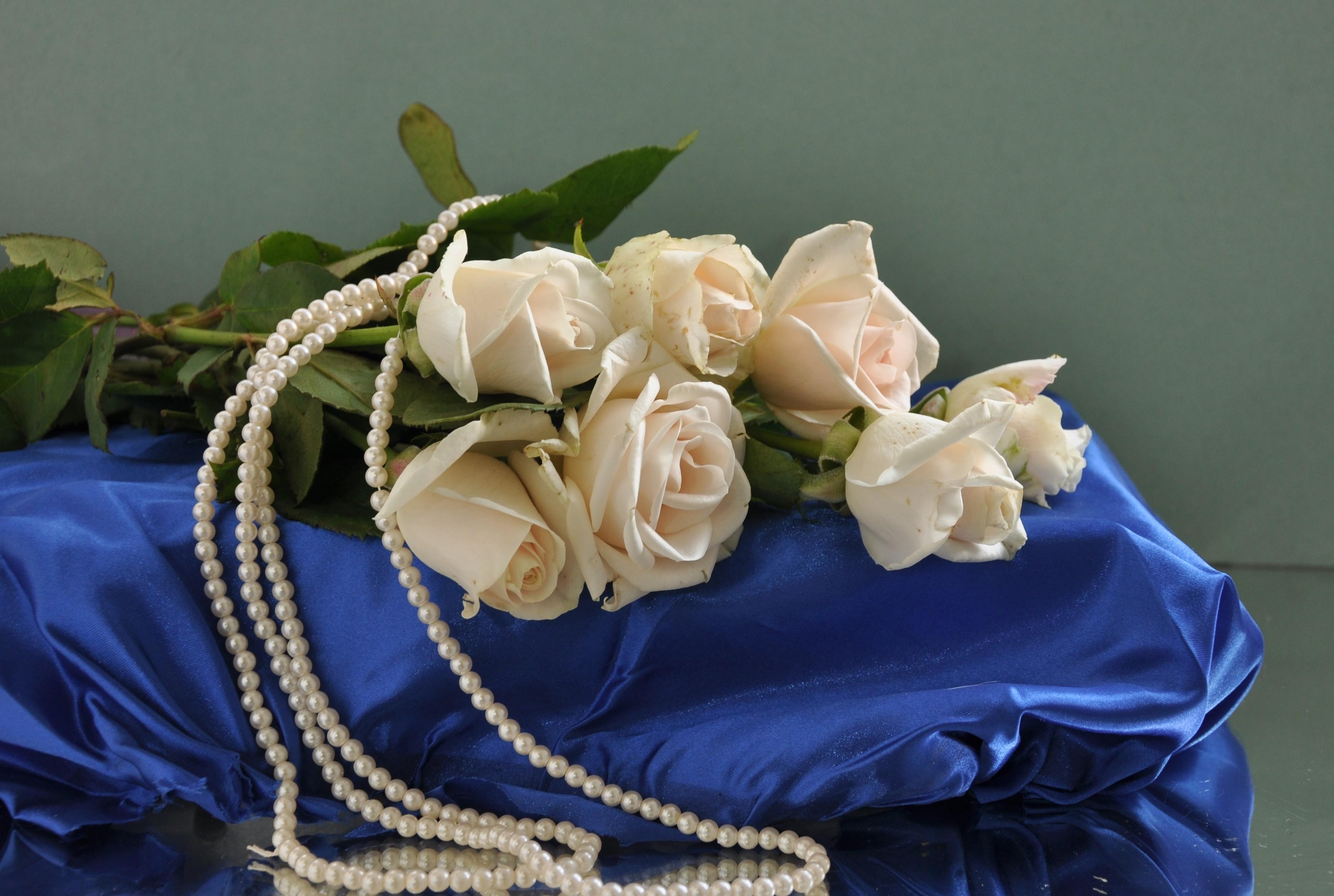 Download mobile wallpaper Bouquet, Pillow, Beads, Flowers, Pearl, Roses for free.