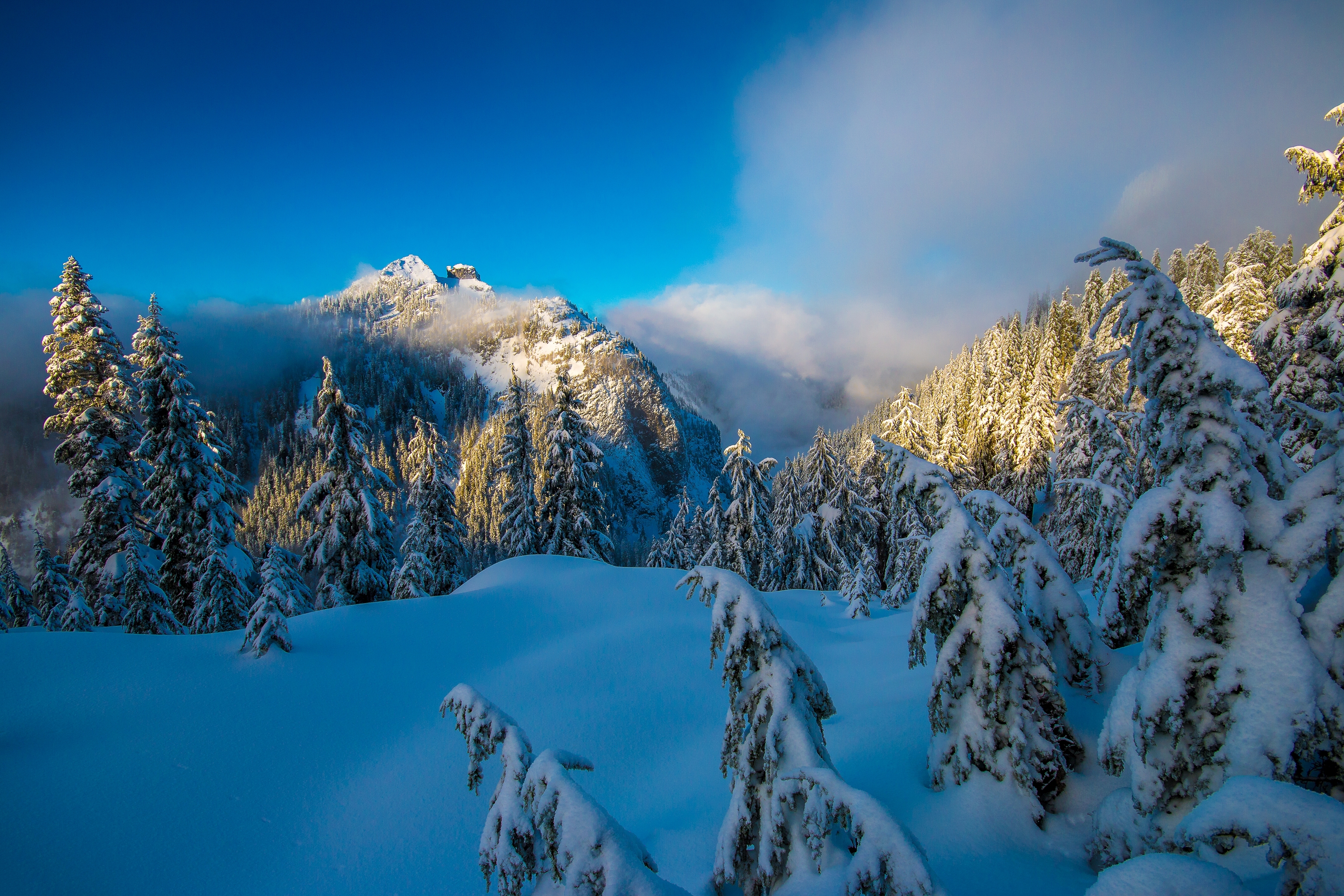 Laden Sie das Winter, Schnee, Wald, Baum, Gebirge, Erde/natur-Bild kostenlos auf Ihren PC-Desktop herunter