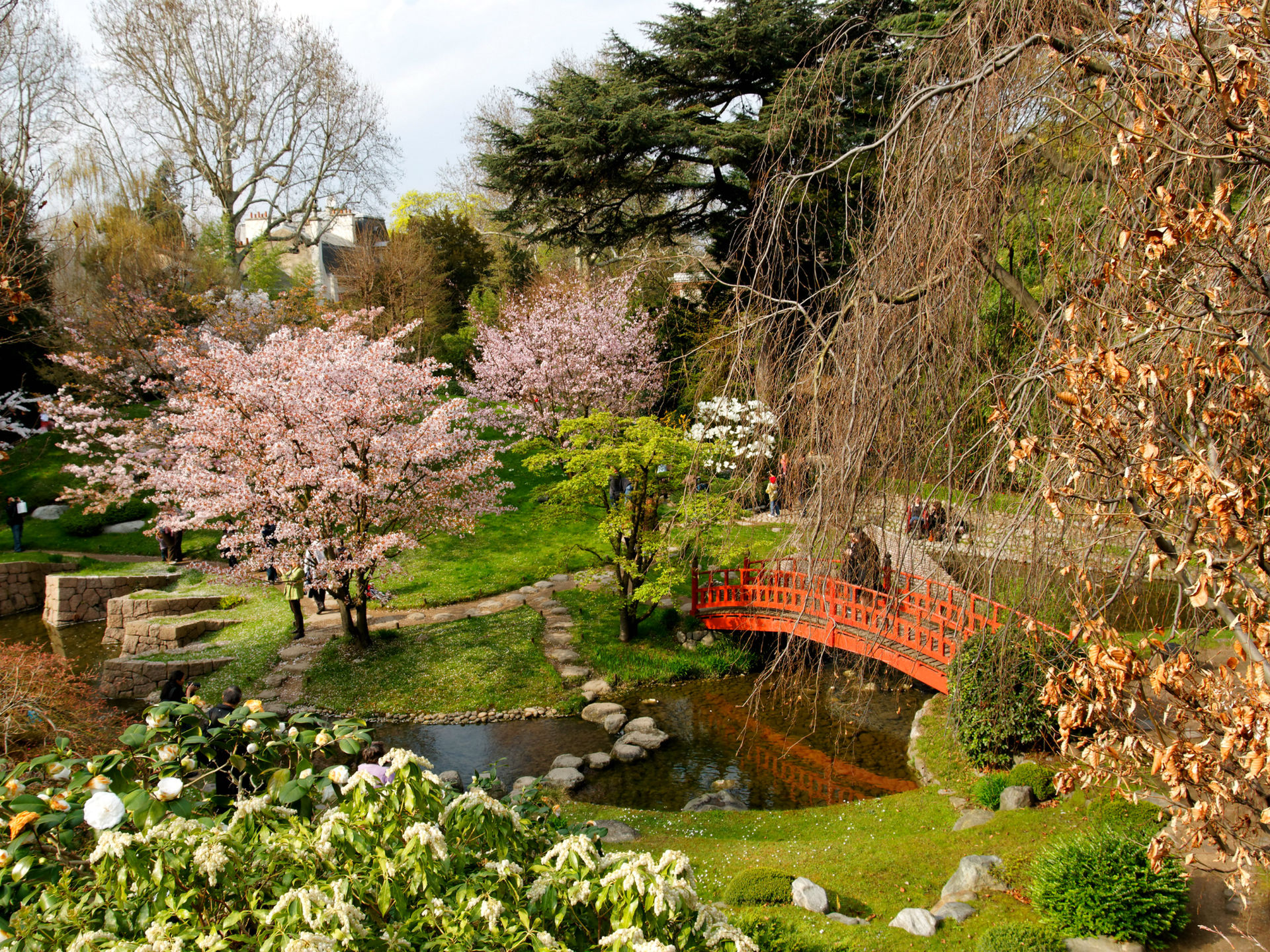 PCデスクトップに公園, 写真撮影画像を無料でダウンロード