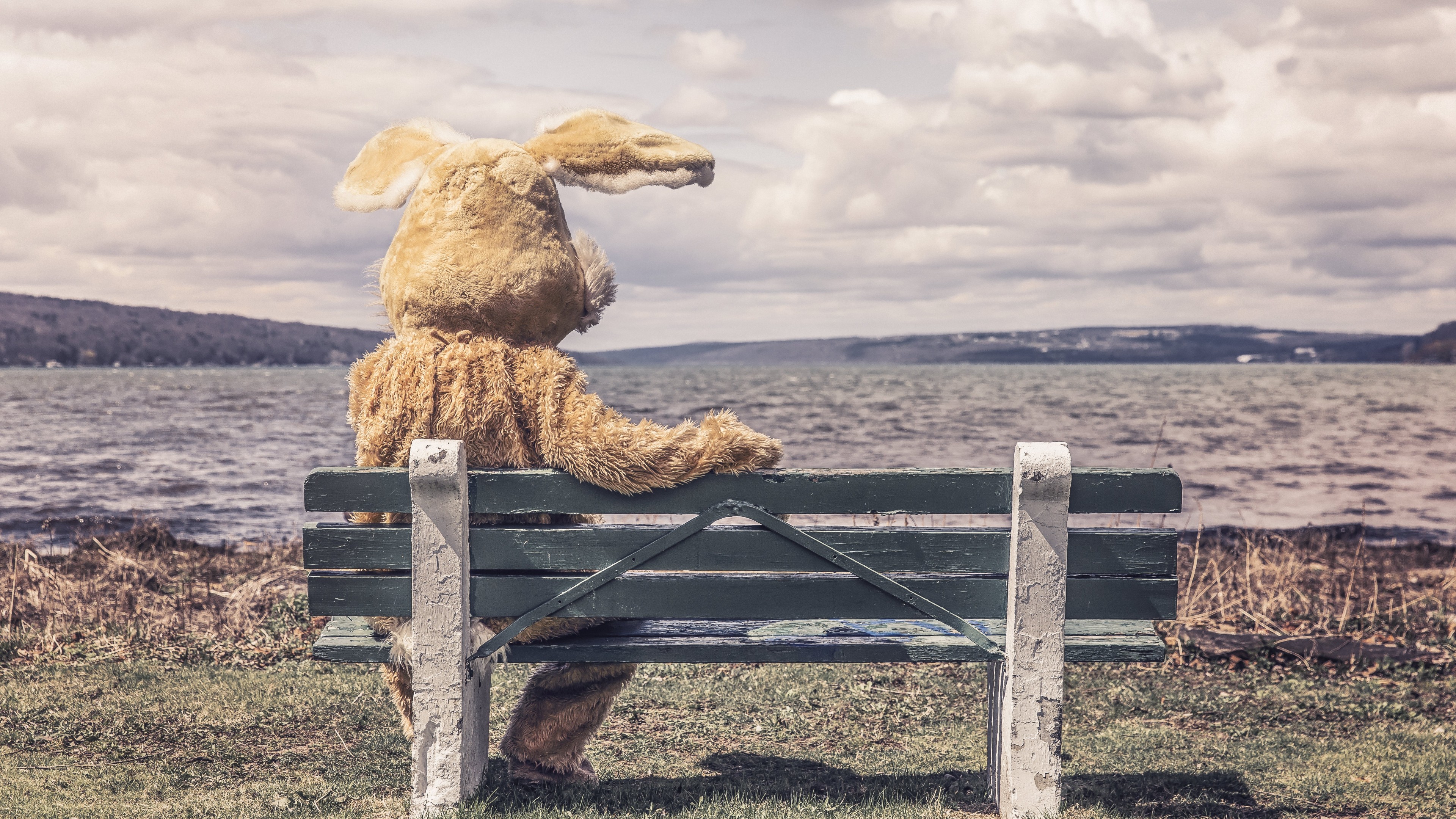 Free download wallpaper Human, Bench, Artistic, River, Bunny, Humor on your PC desktop