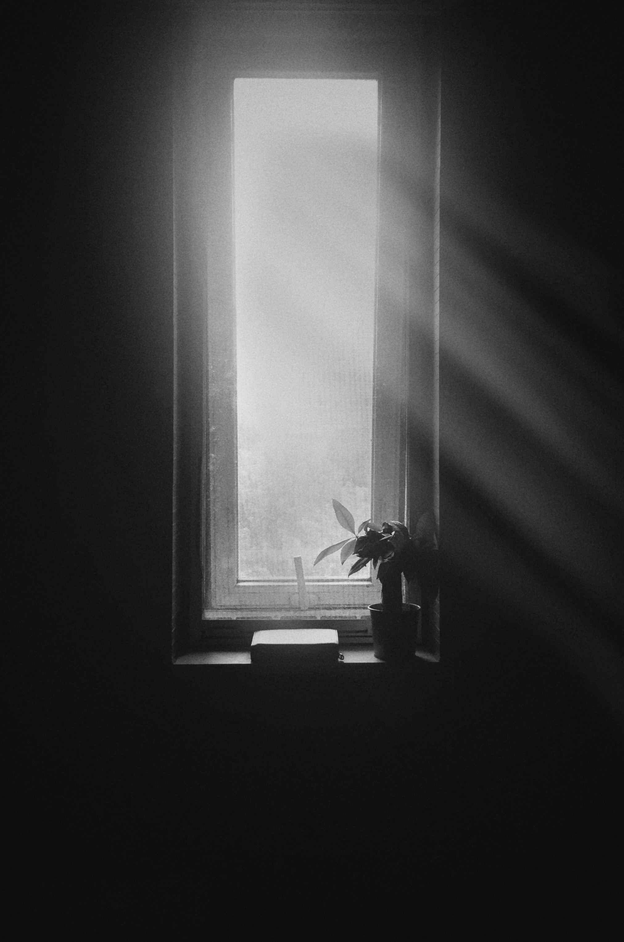 silence, black, bw, chb, window, window sill, windowsill