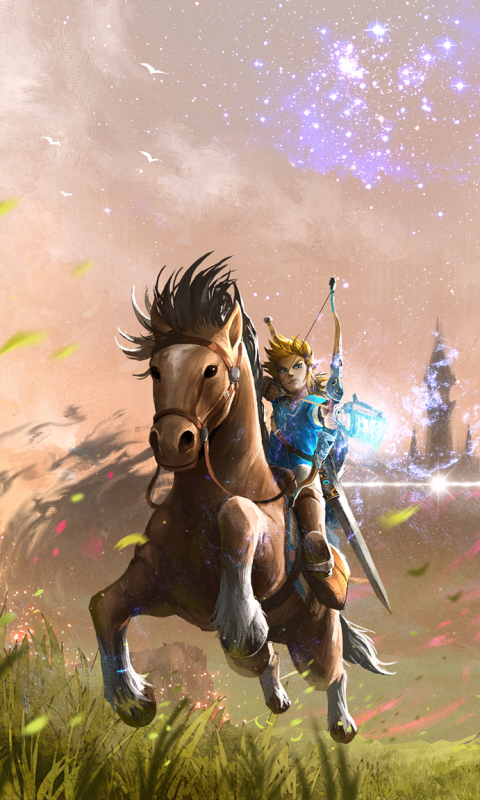 Download mobile wallpaper Link, Video Game, Zelda for free.